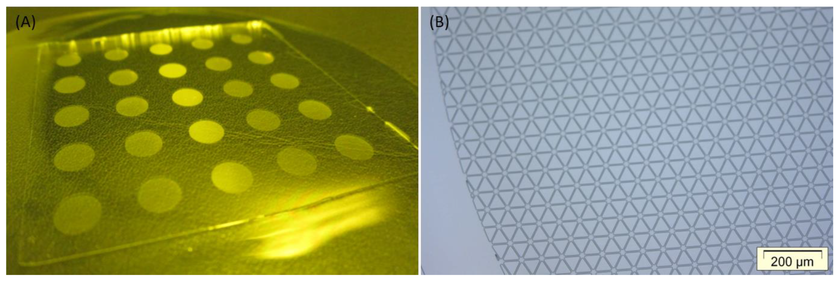 Nanomaterials 11 00902 g002 Nanomaterials 11 00902 g002
