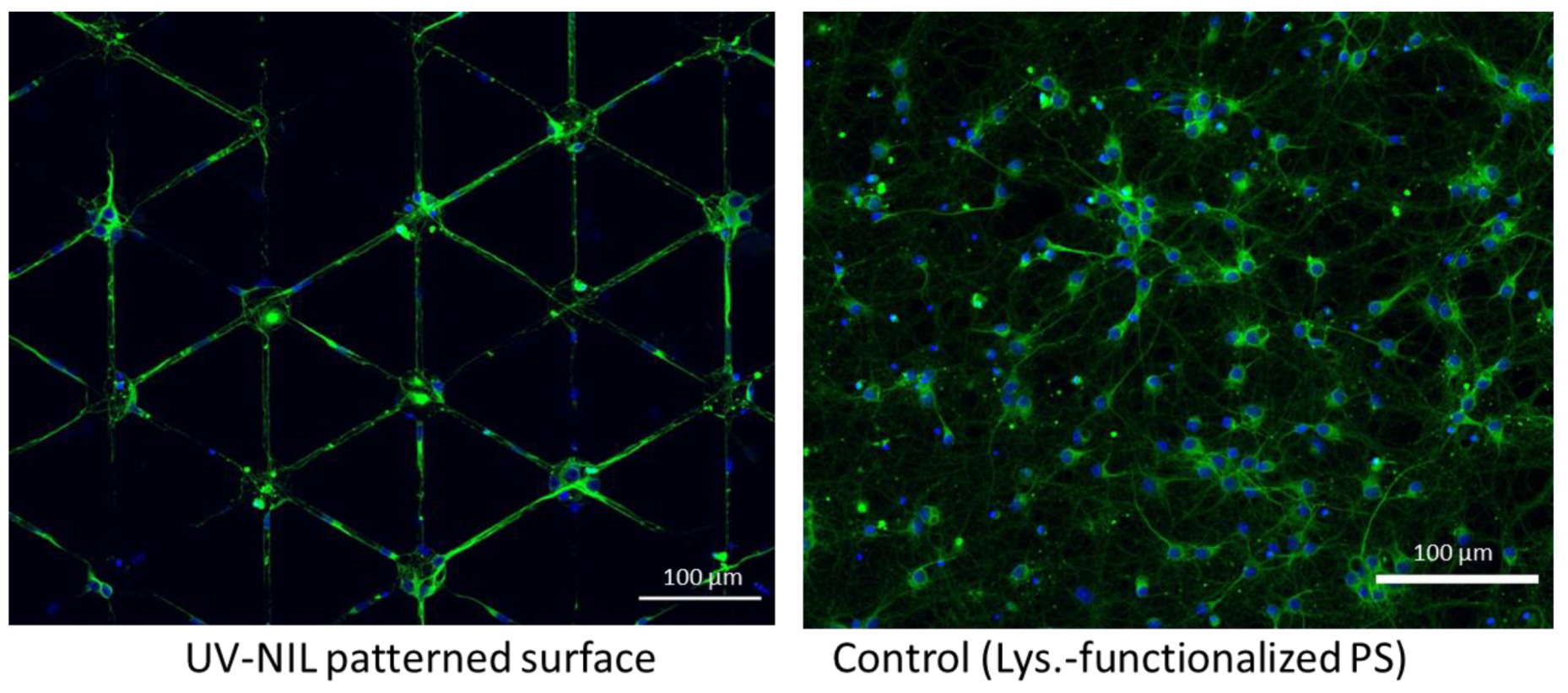 Nanomaterials 11 00902 g006 Nanomaterials 11 00902 g006