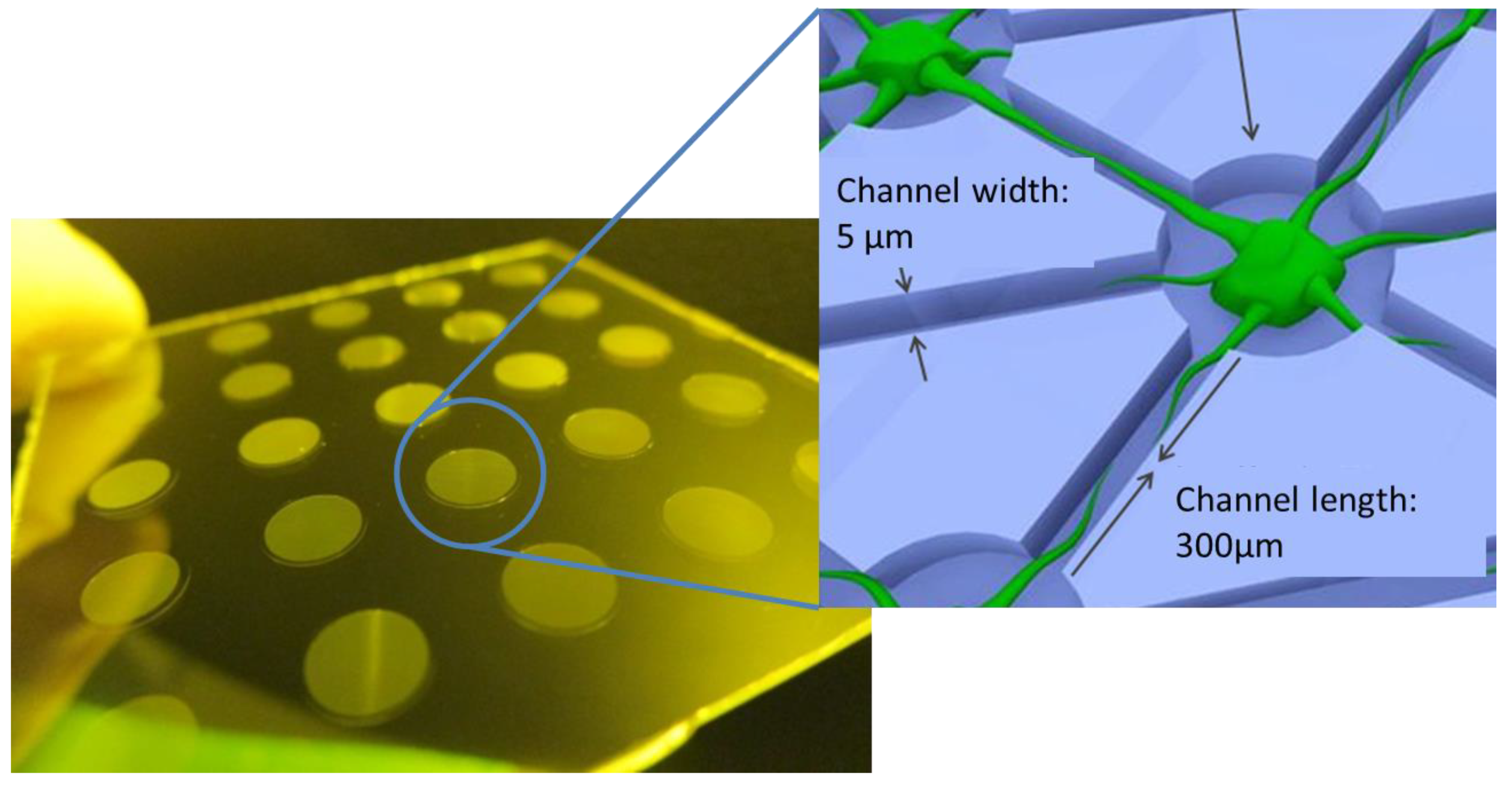 Nanomaterials 11 00902 sch001 Nanomaterials 11 00902 sch001