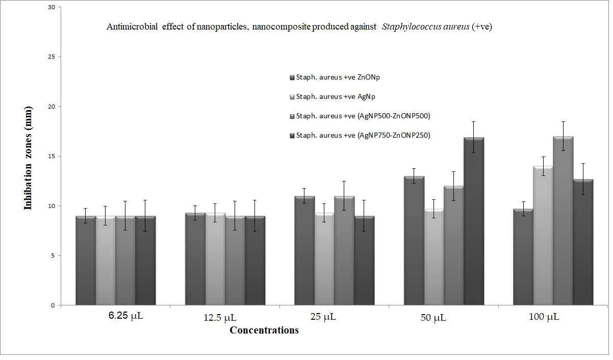Nanomaterials 11 00903 g010
