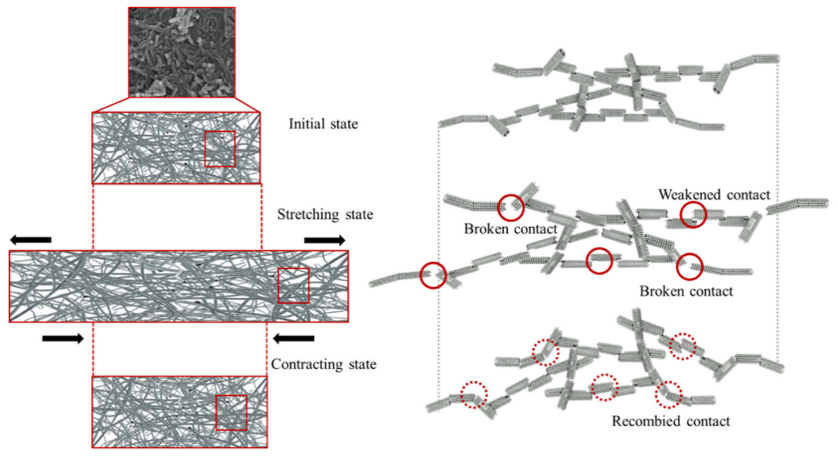 Nanomaterials 11 00904 g014