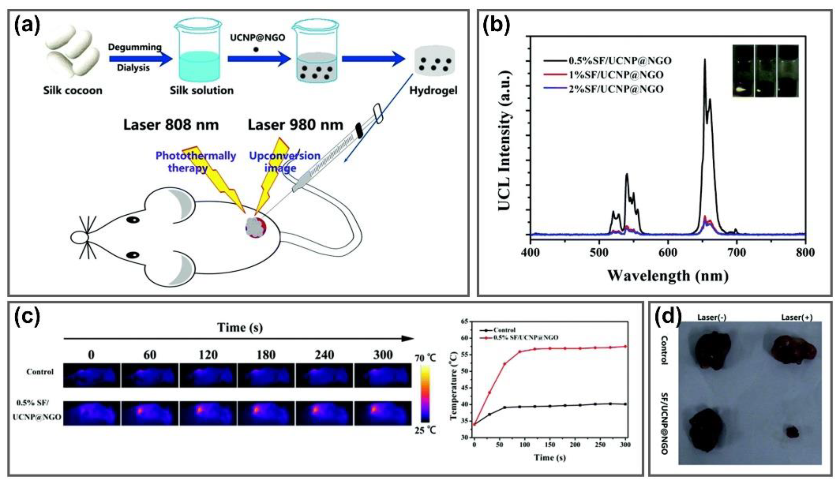Nanomaterials 11 00906 g005