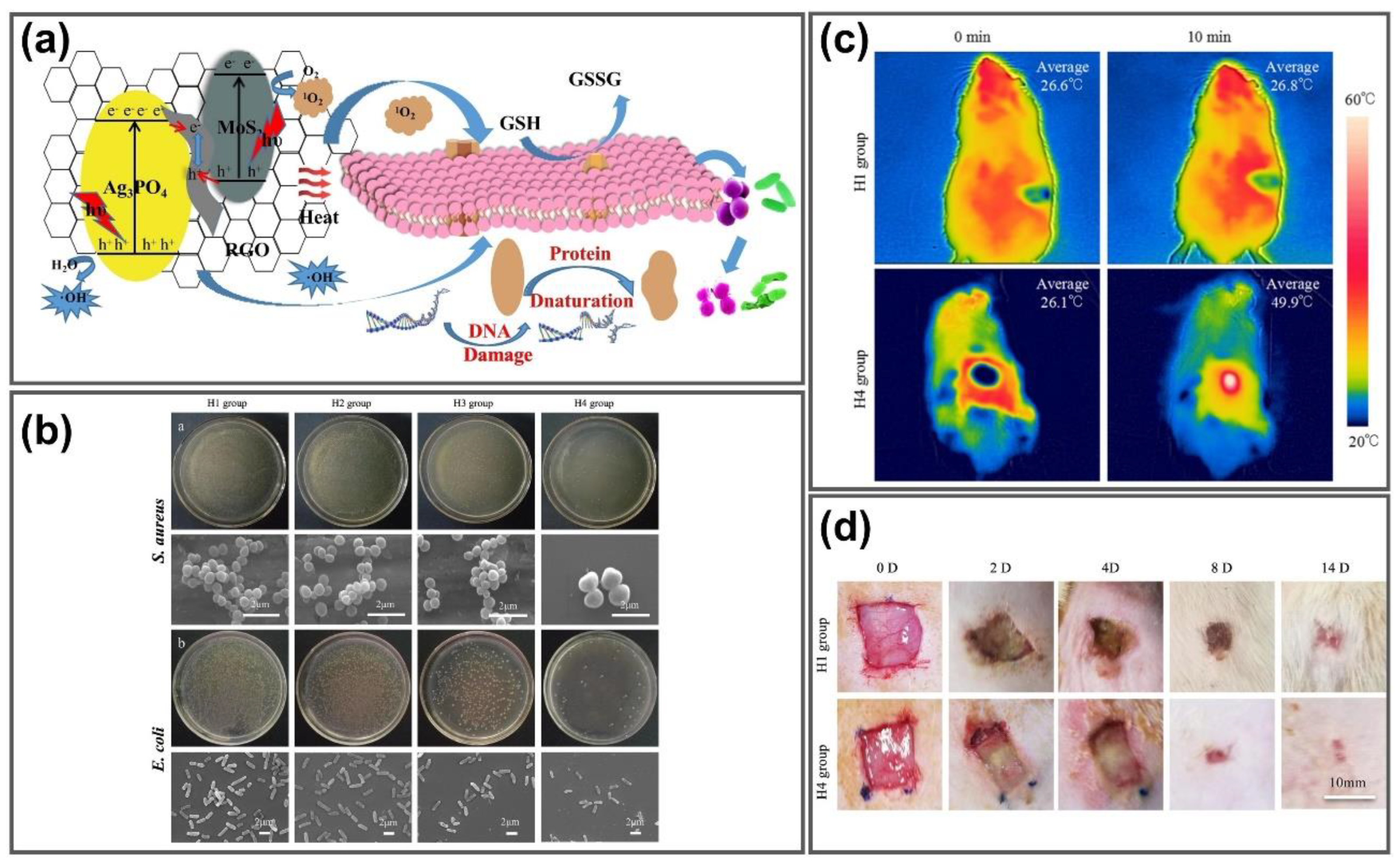 Nanomaterials 11 00906 g008