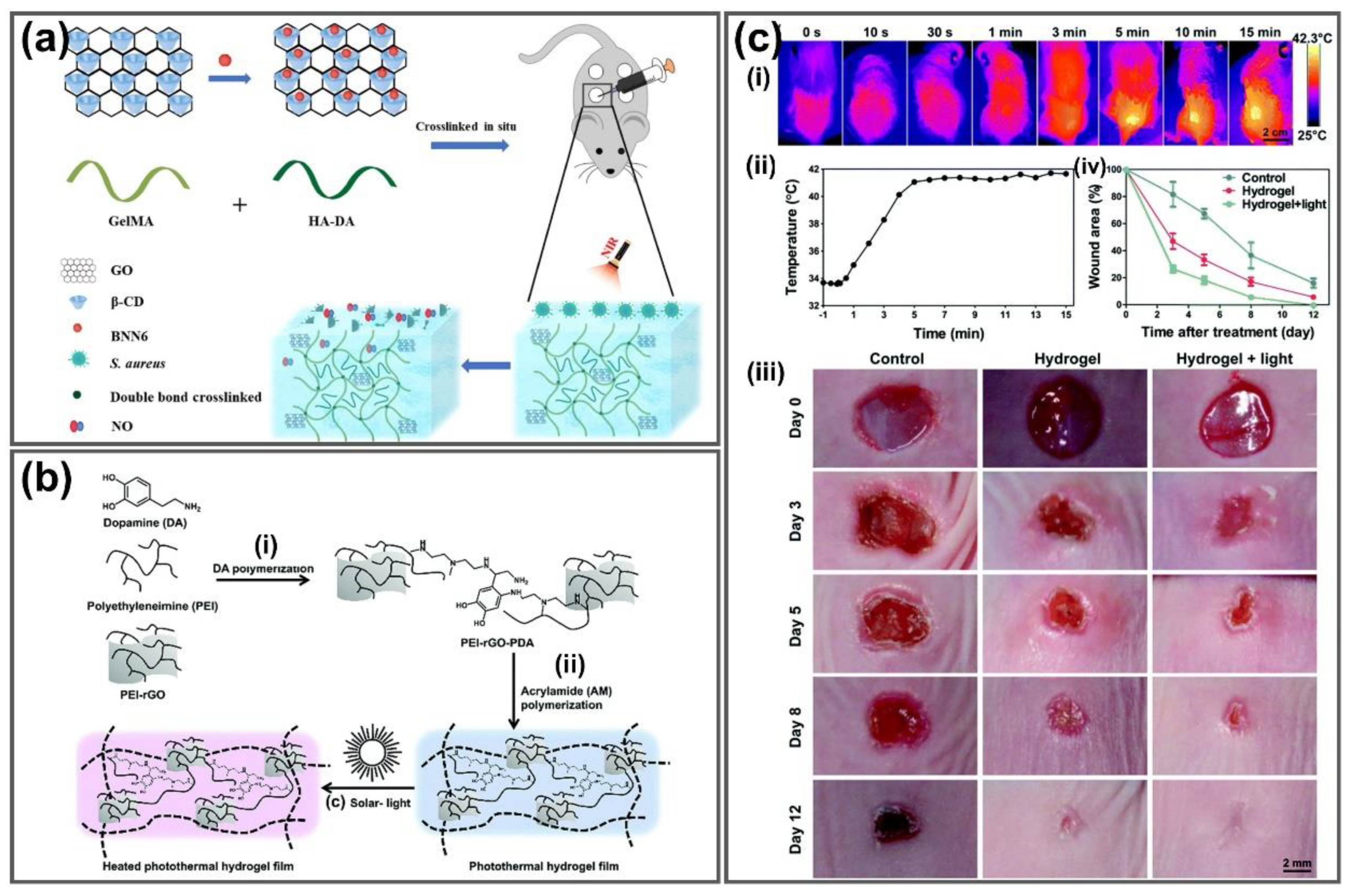 Nanomaterials 11 00906 g009