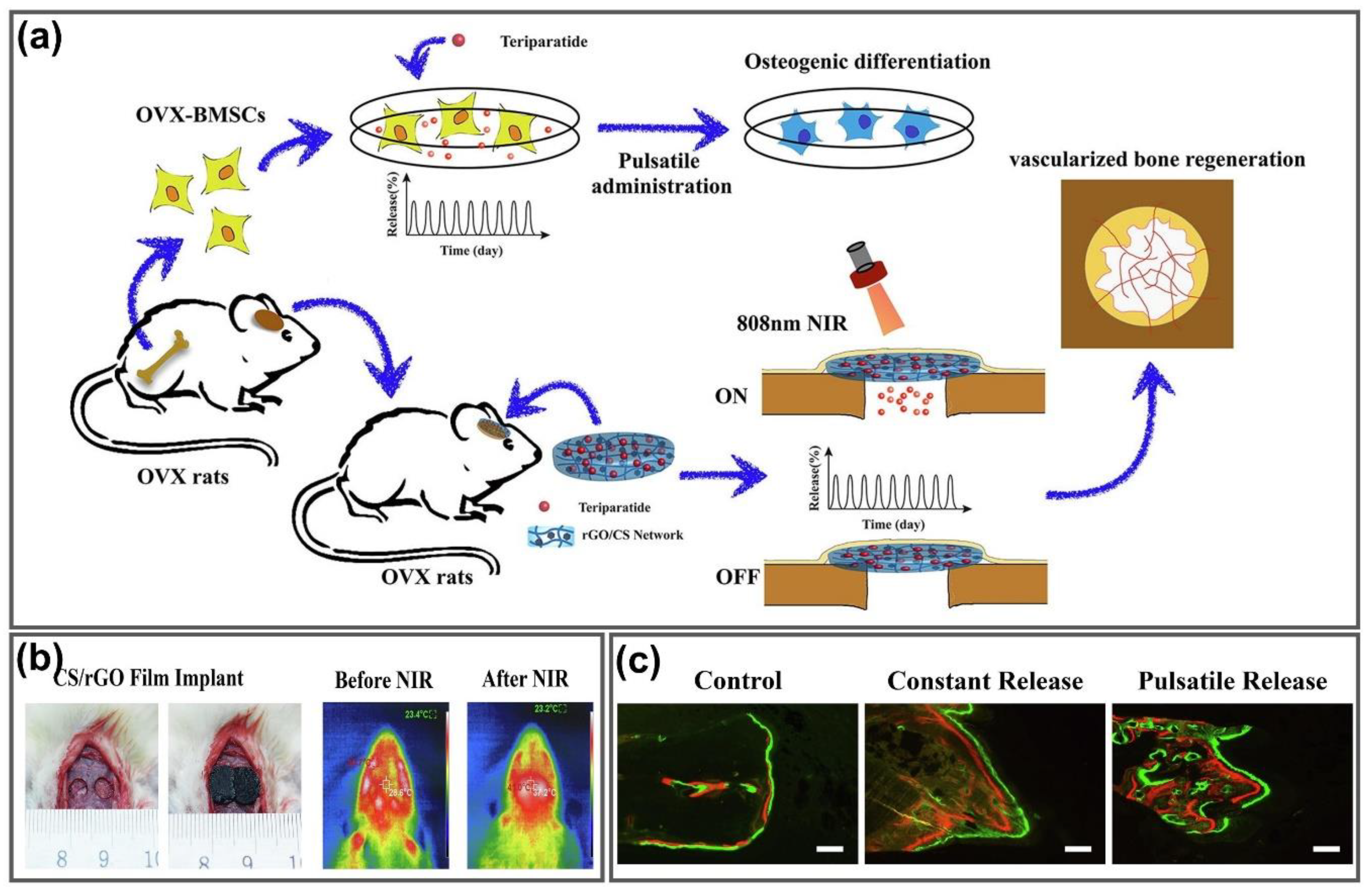 Nanomaterials 11 00906 g010