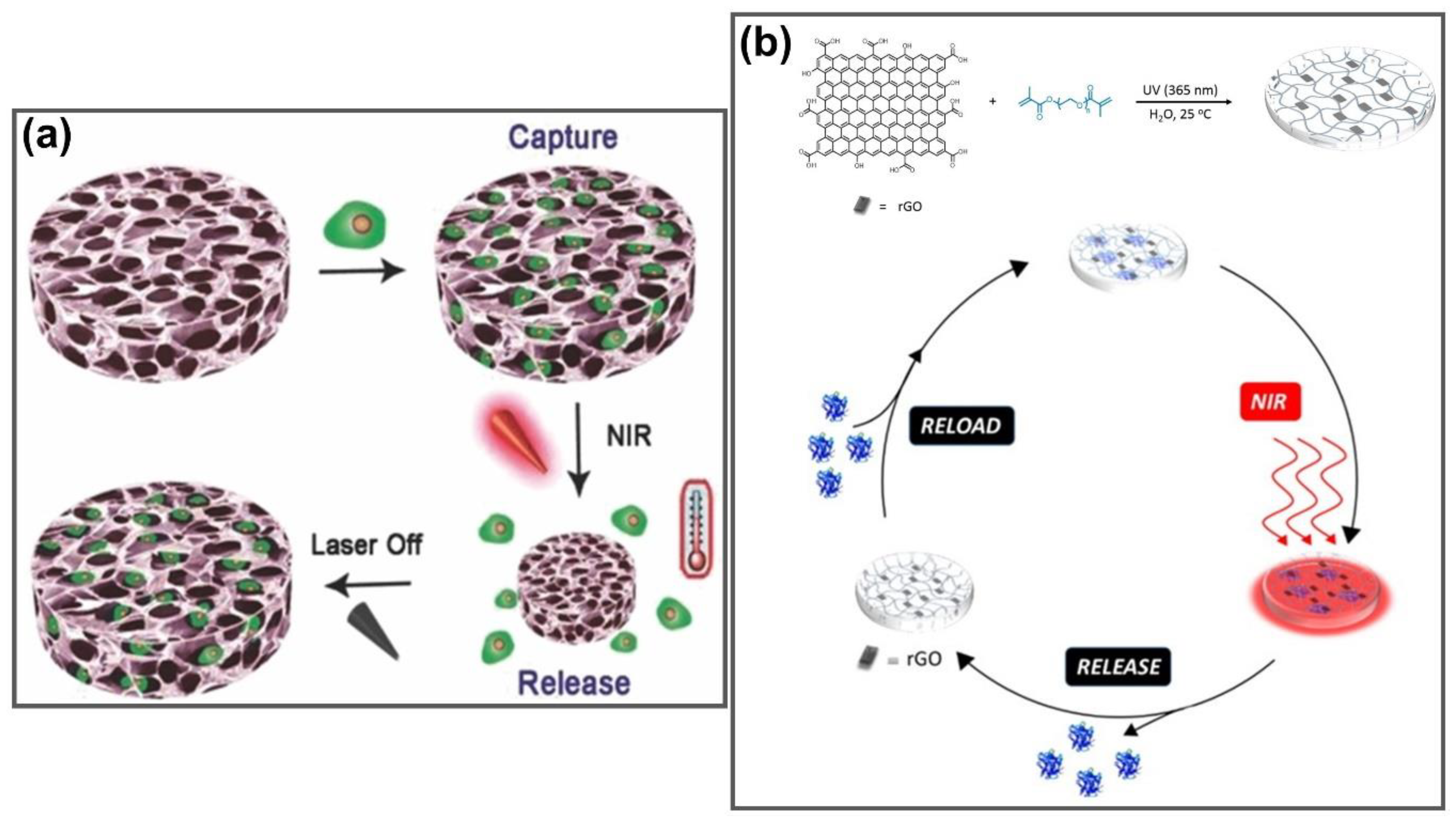 Nanomaterials 11 00906 g011