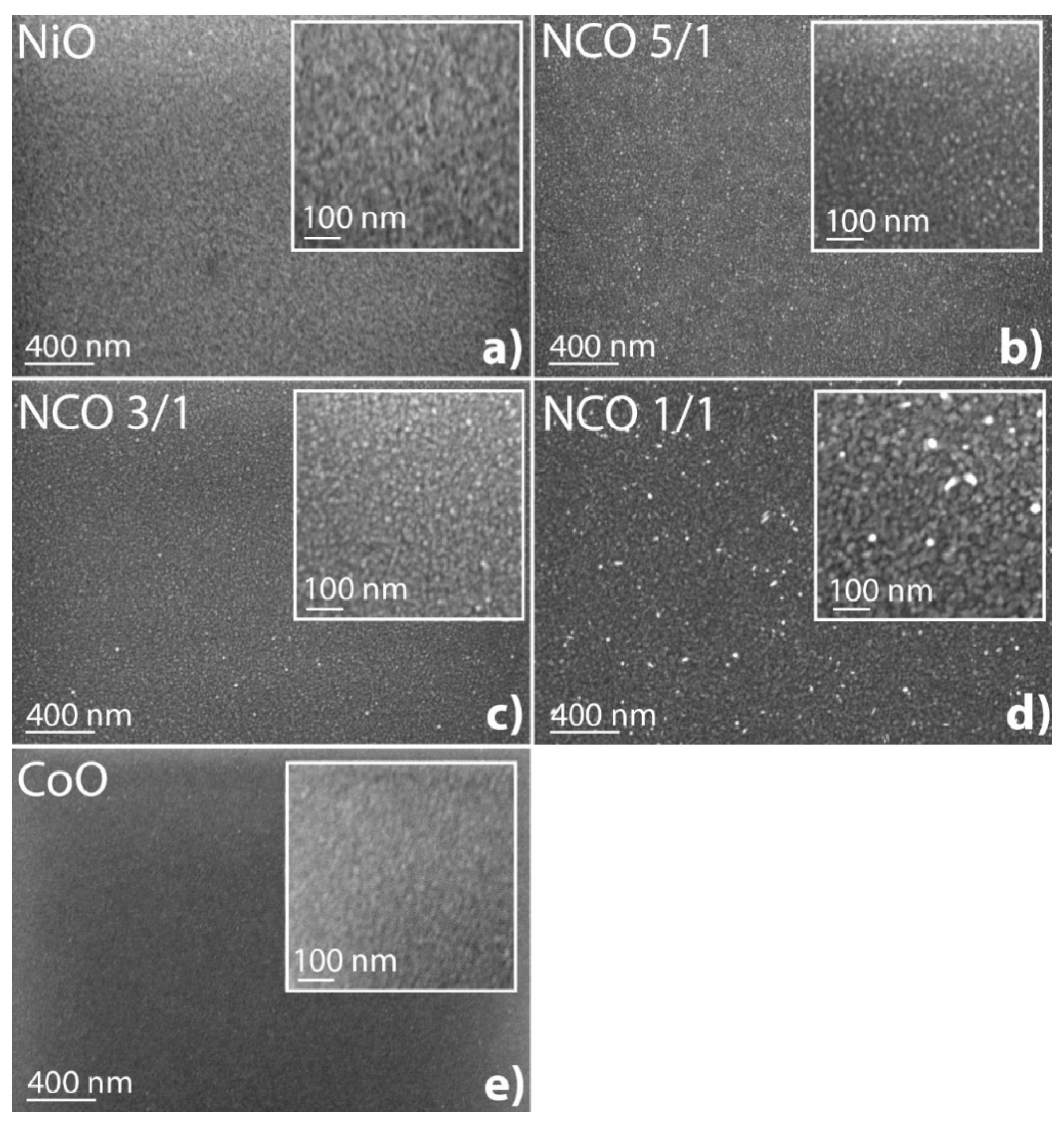 Nanomaterials 11 00907 g003
