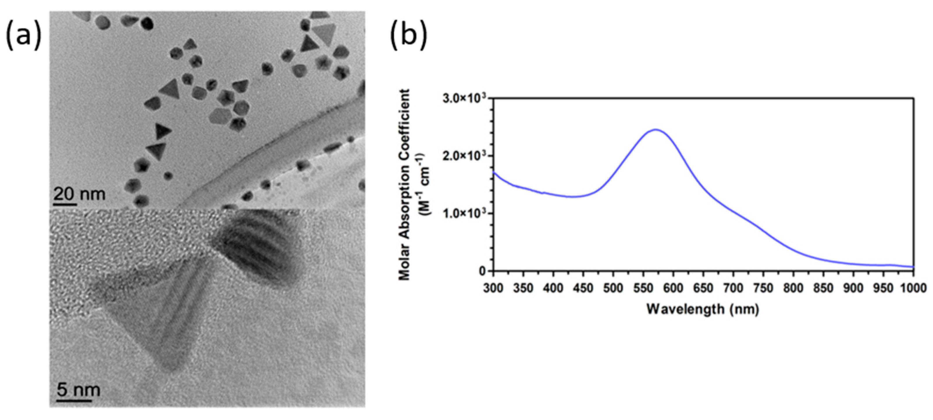Nanomaterials 11 00912 g001