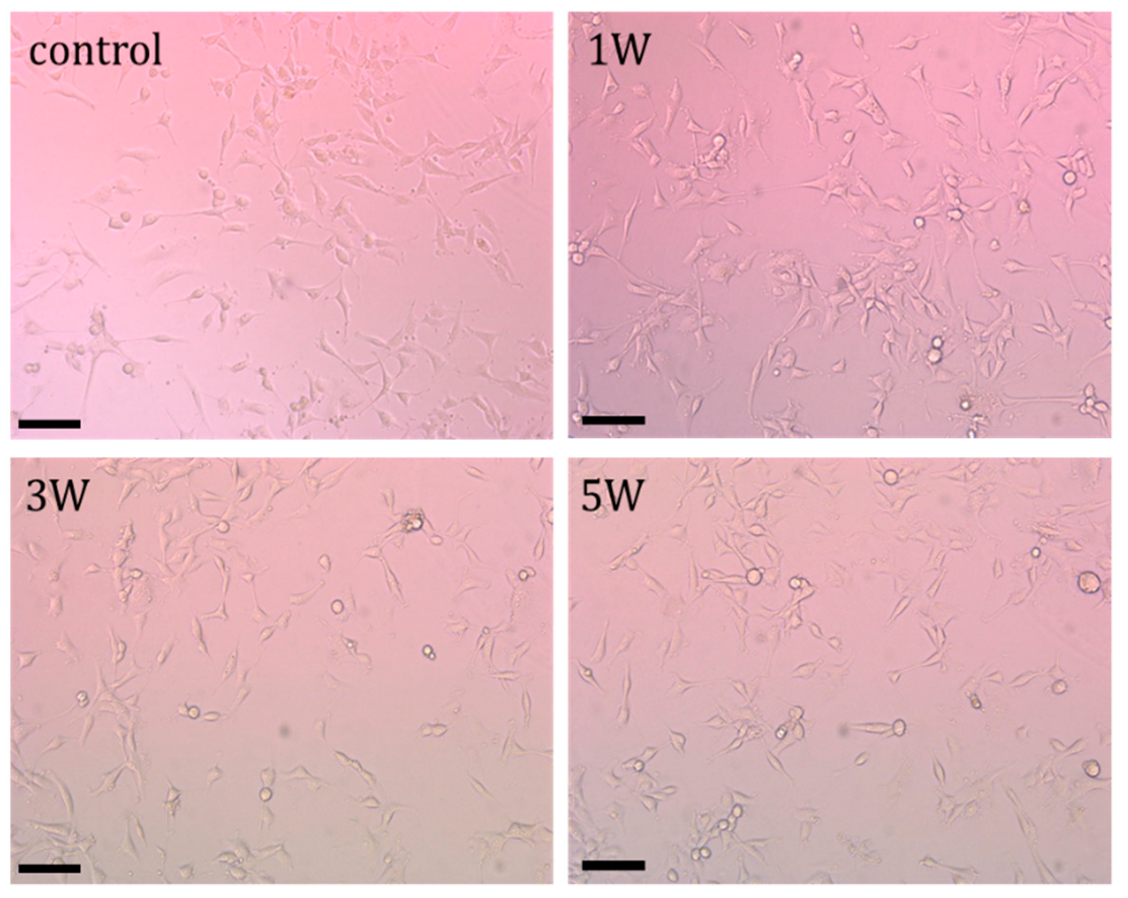 Nanomaterials 11 00912 g006