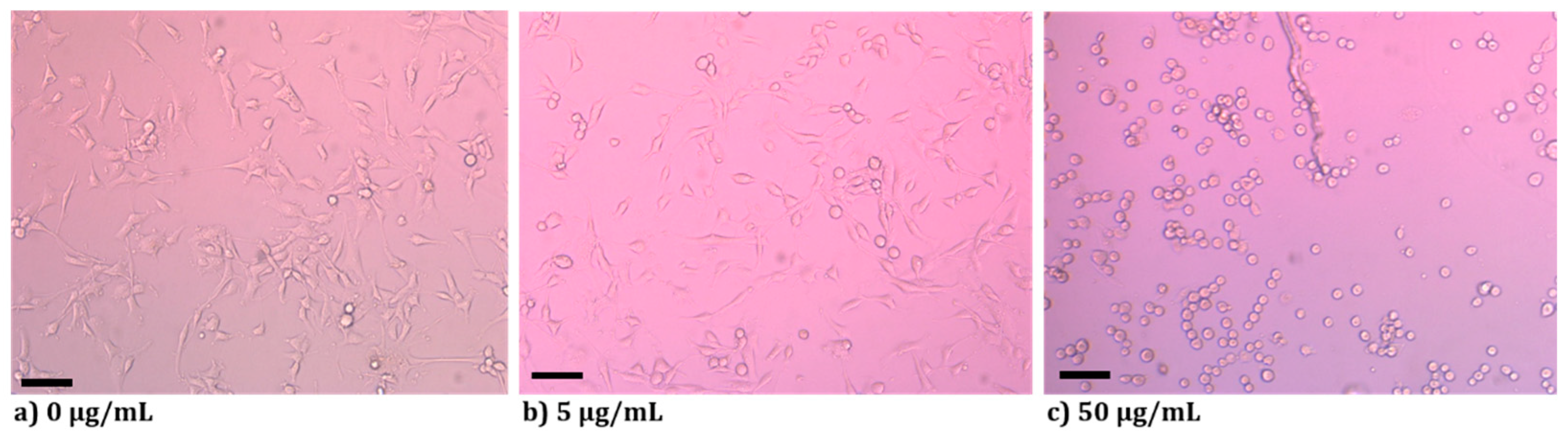Nanomaterials 11 00912 g008