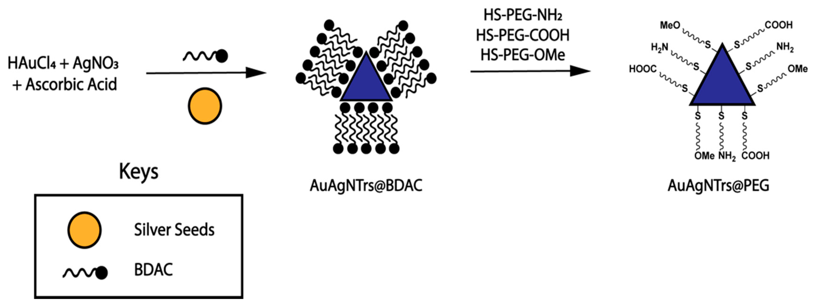 Nanomaterials 11 00912 sch001