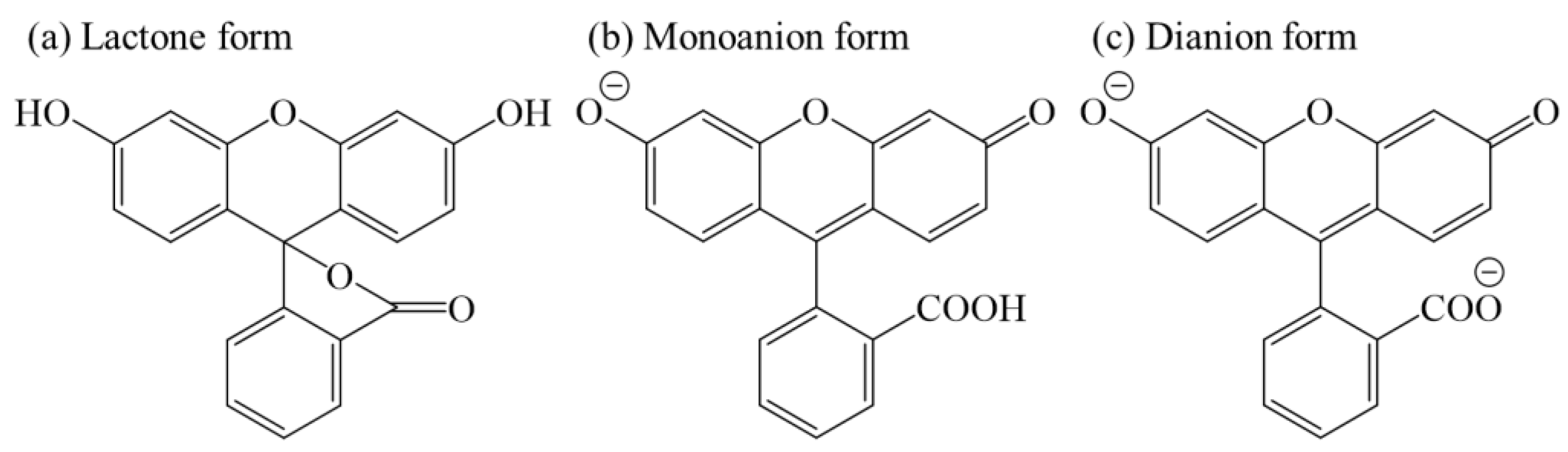 Nanomaterials 11 00914 sch001