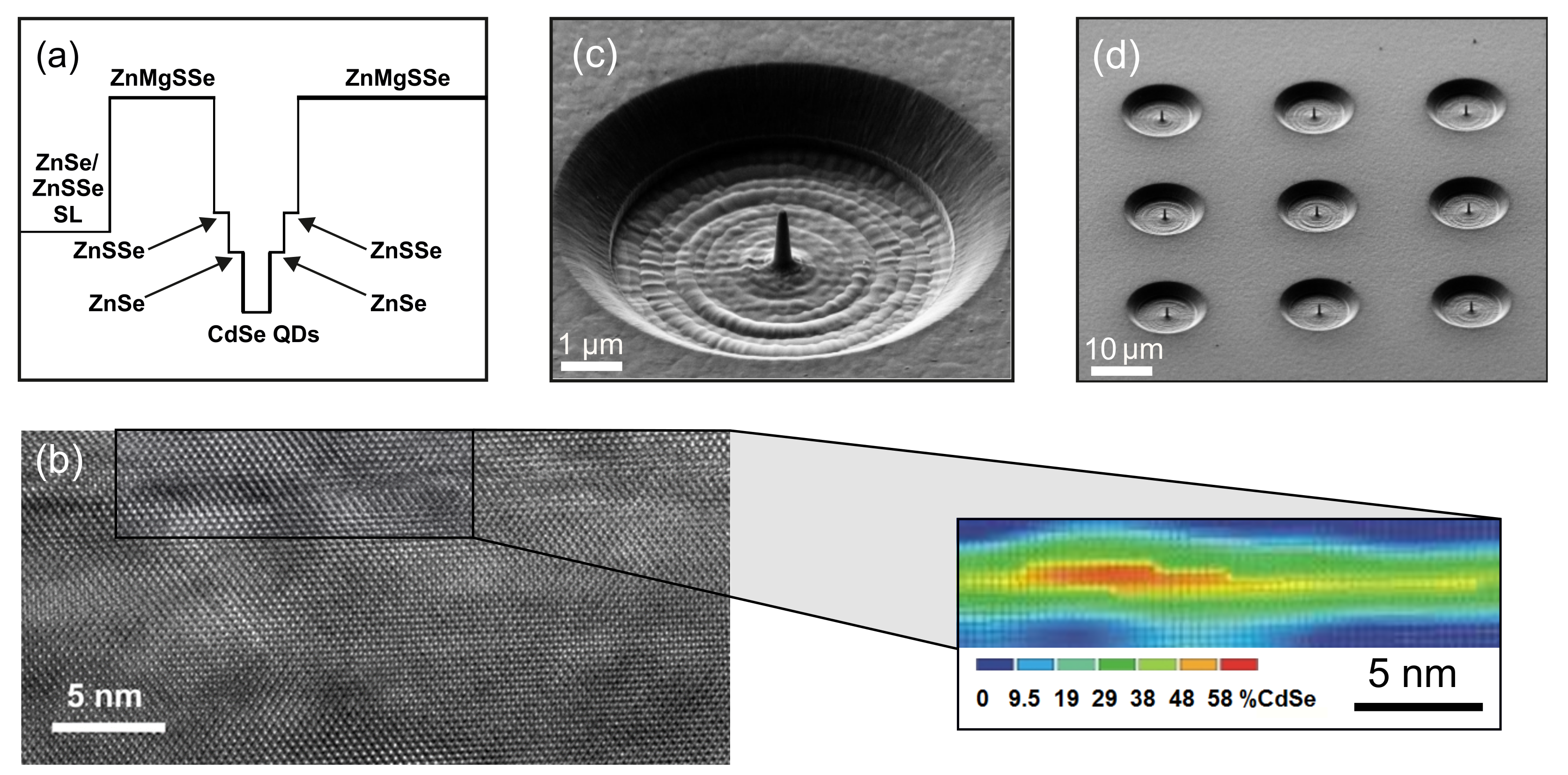 Nanomaterials 11 00916 g003
