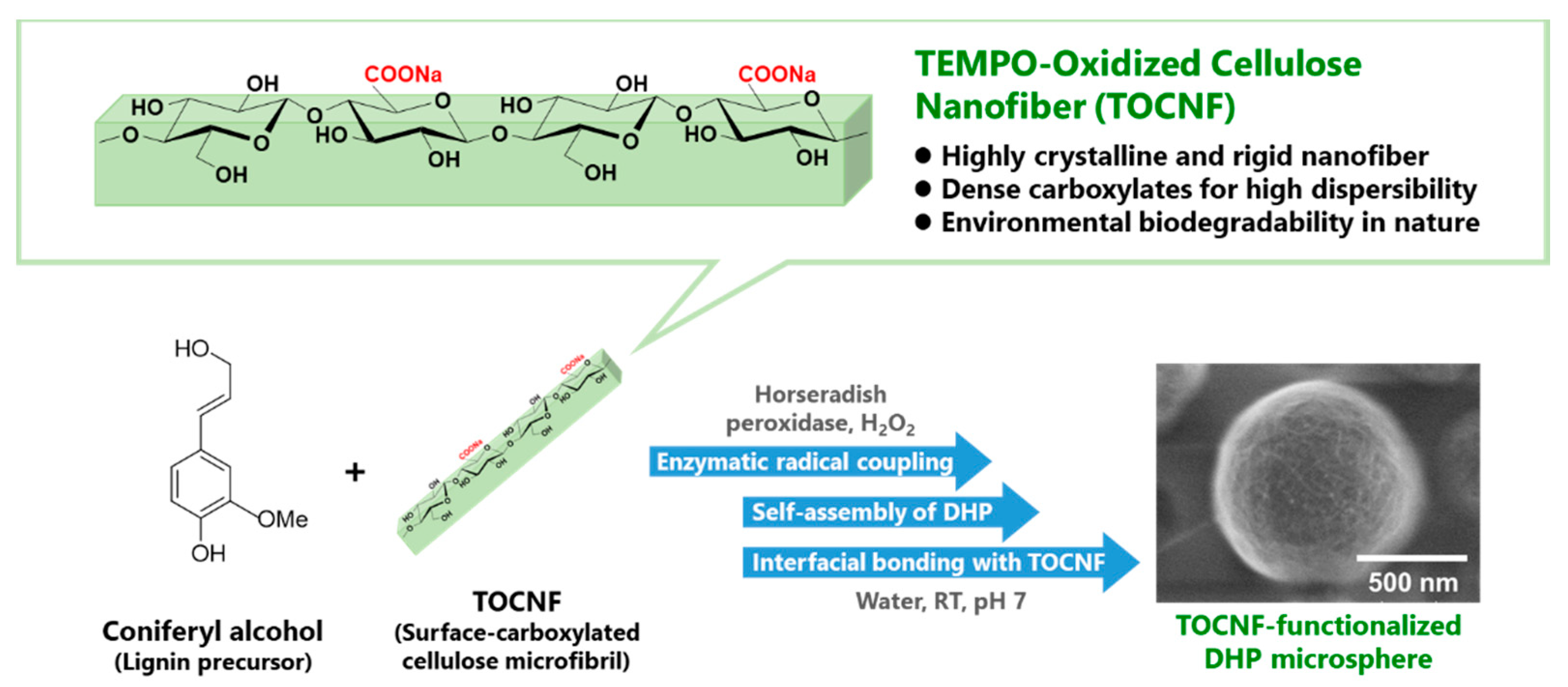 Nanomaterials 11 00917 g001 Nanomaterials 11 00917 g001
