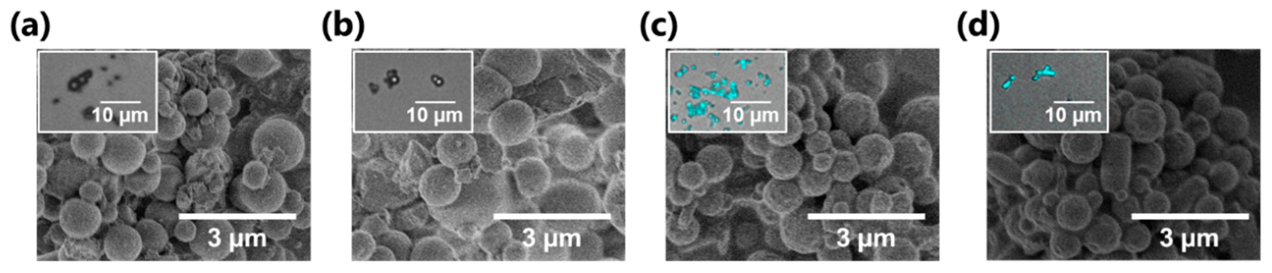 Nanomaterials 11 00917 g007 Nanomaterials 11 00917 g007