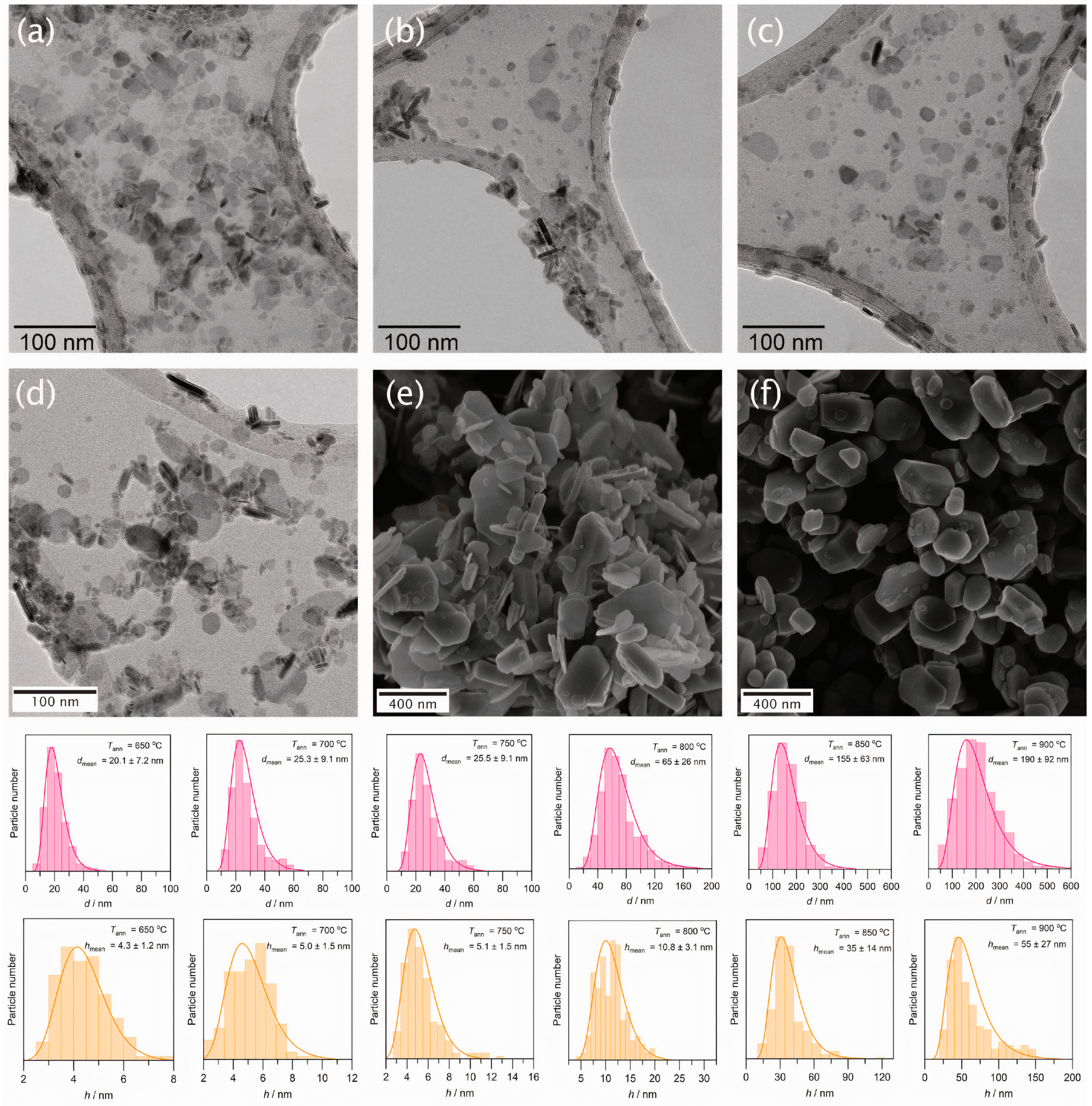 Nanomaterials 11 00924 g003 Nanomaterials 11 00924 g003