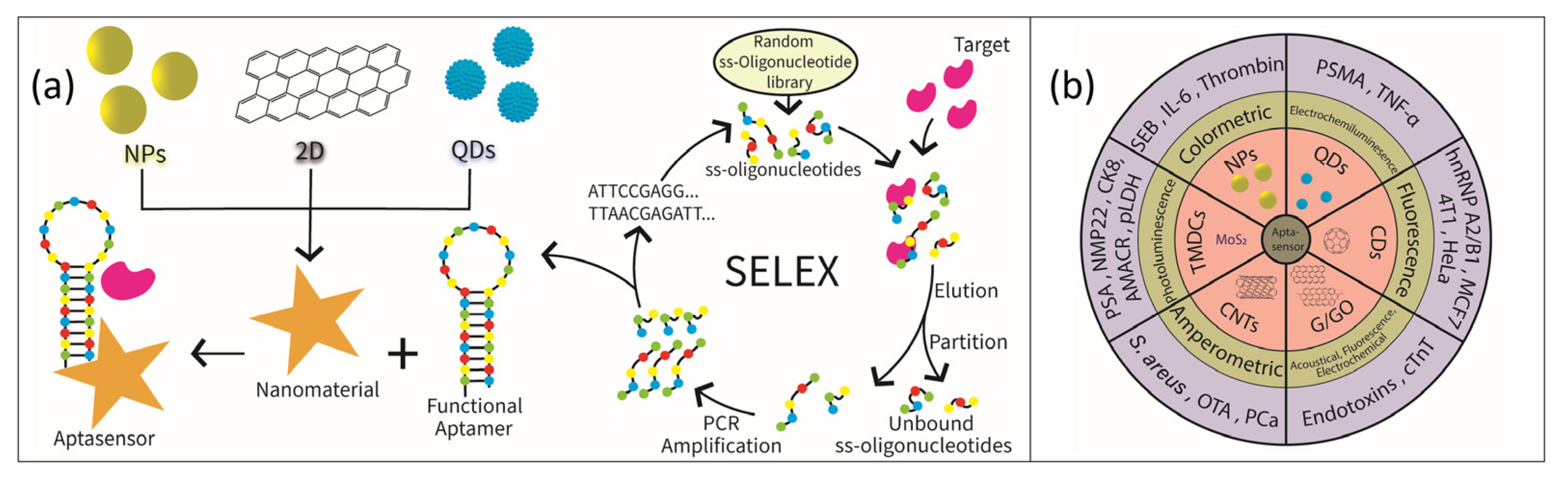 Nanomaterials 11 00932 g001 Nanomaterials 11 00932 g001