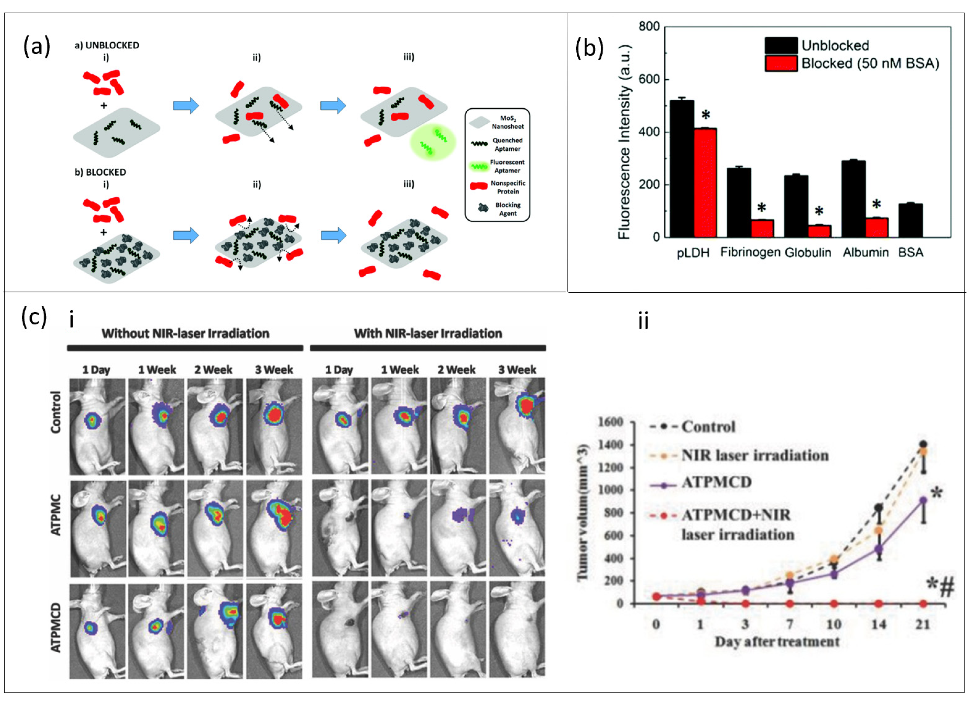 Nanomaterials 11 00932 g003 Nanomaterials 11 00932 g003