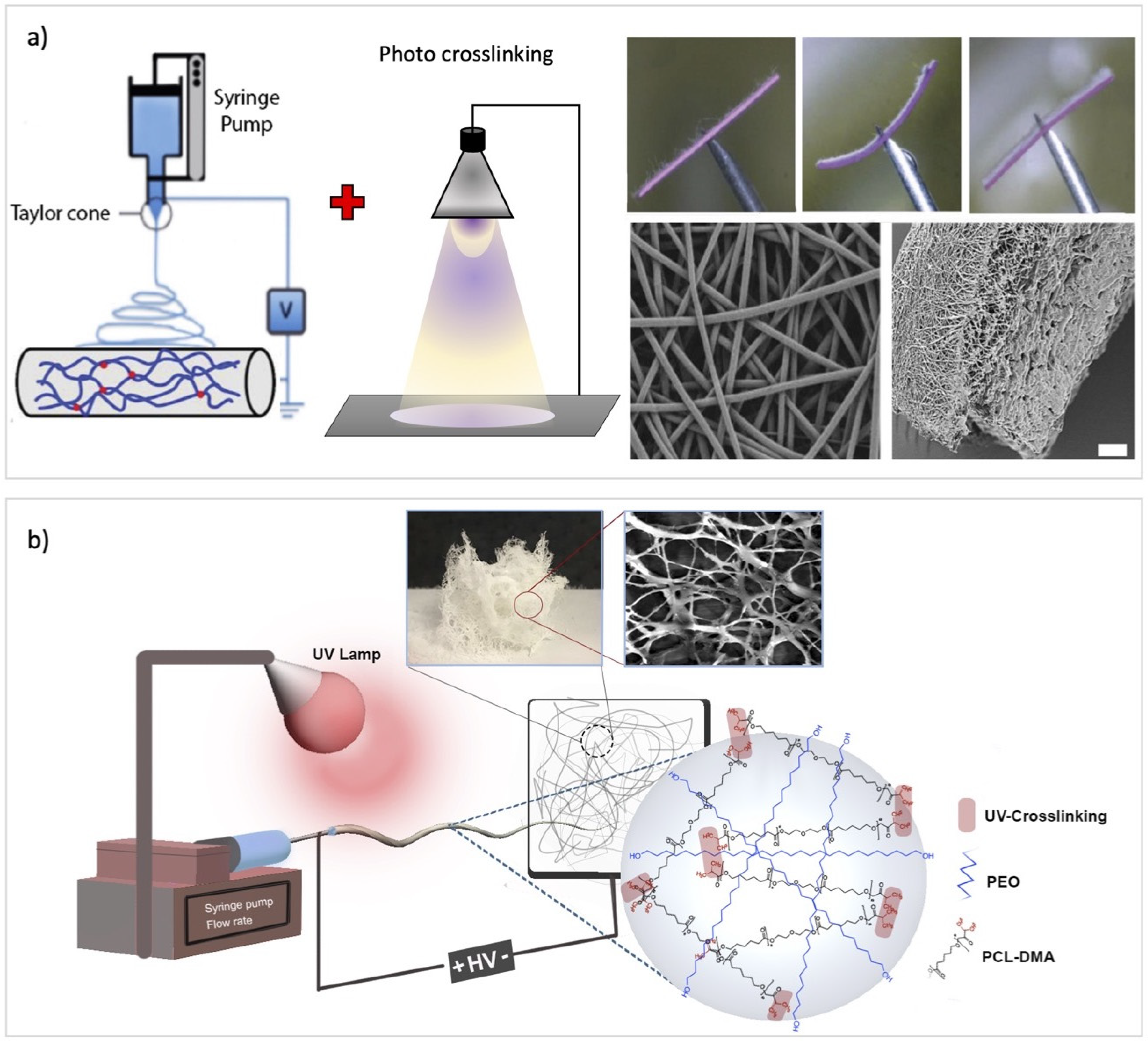 Nanomaterials 11 00933 g005 Nanomaterials 11 00933 g005