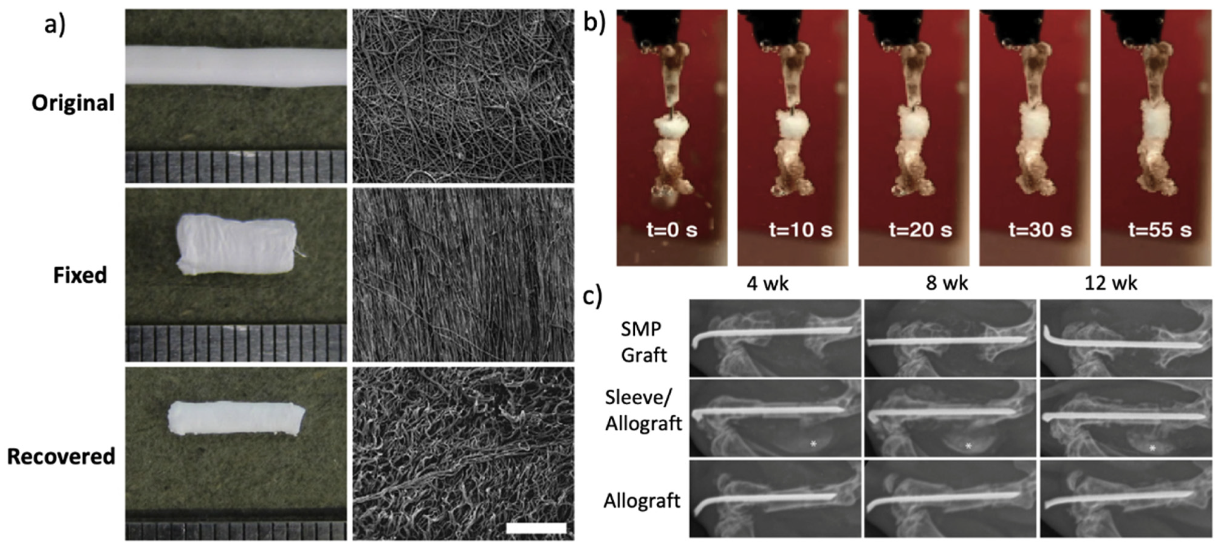 Nanomaterials 11 00933 g006 Nanomaterials 11 00933 g006