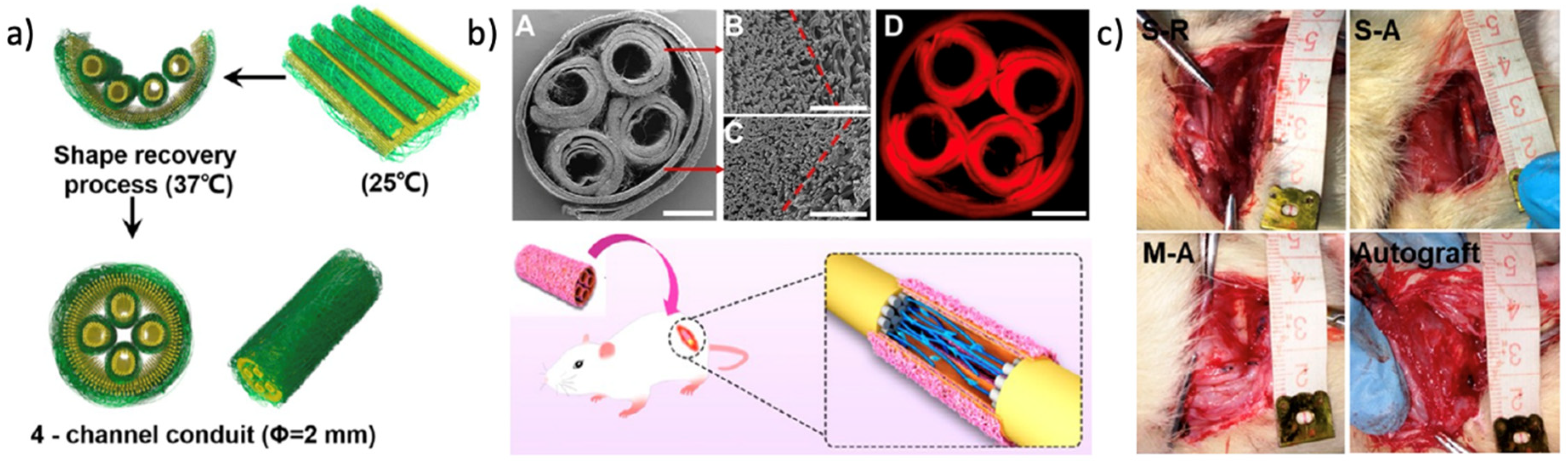 Nanomaterials 11 00933 g007 Nanomaterials 11 00933 g007
