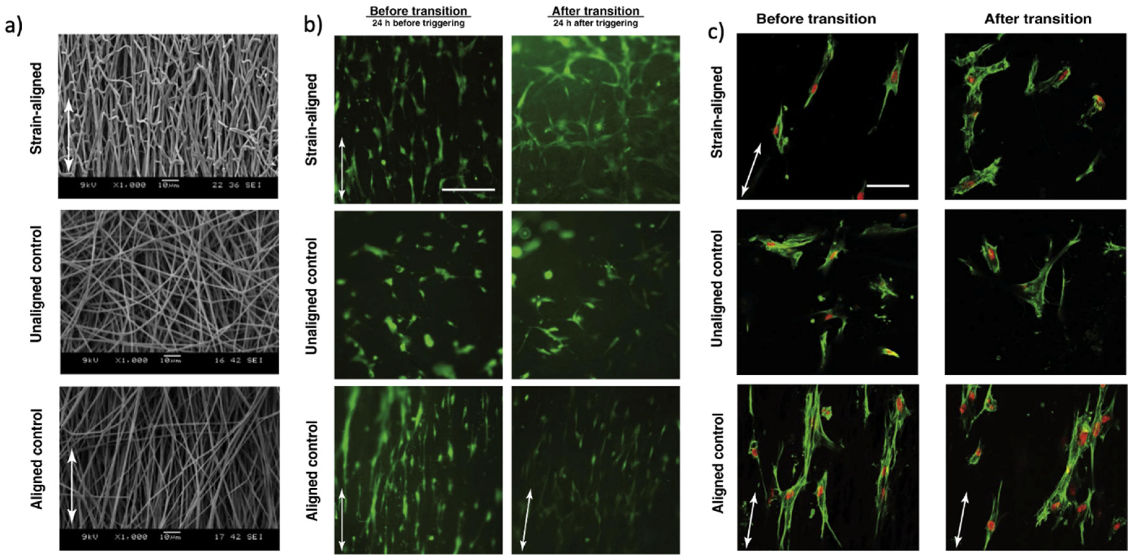 Nanomaterials 11 00933 g008 Nanomaterials 11 00933 g008
