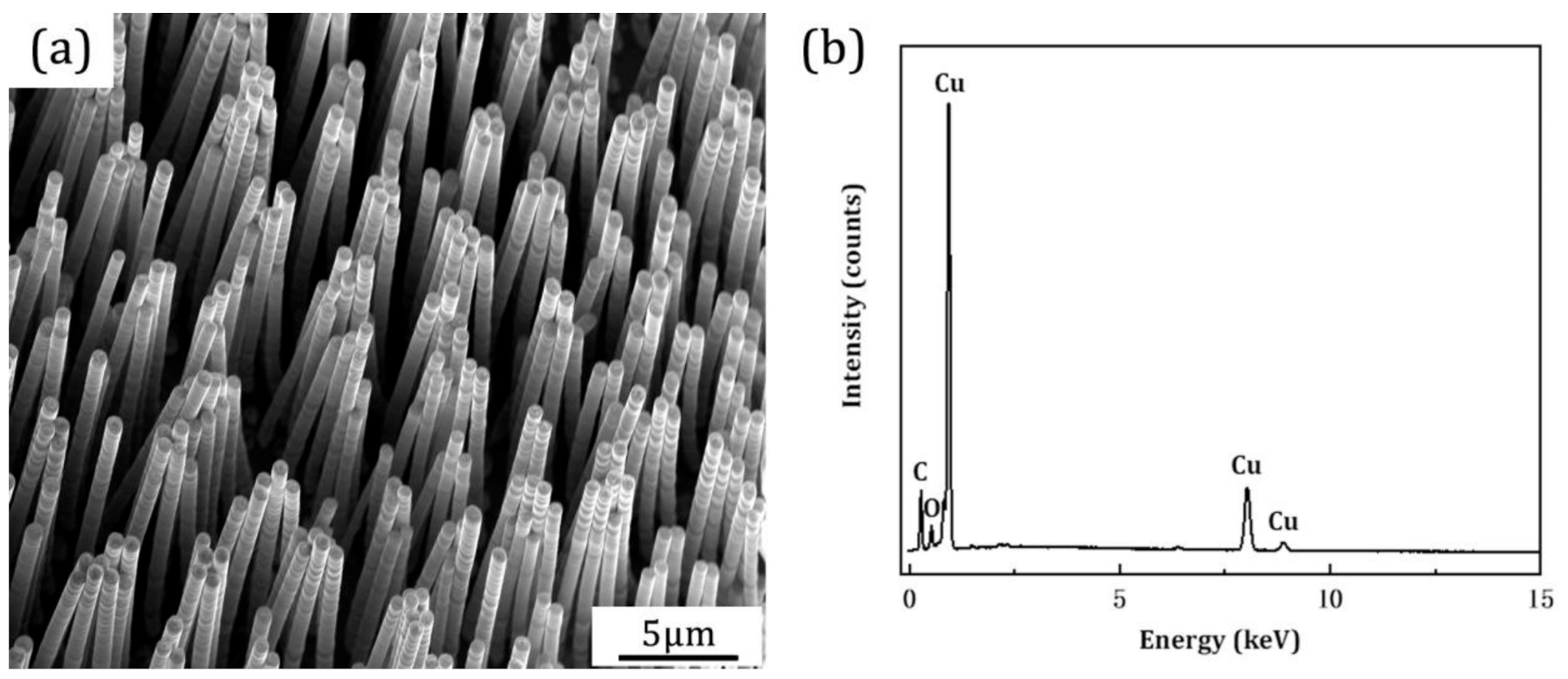 Nanomaterials 11 00939 g005