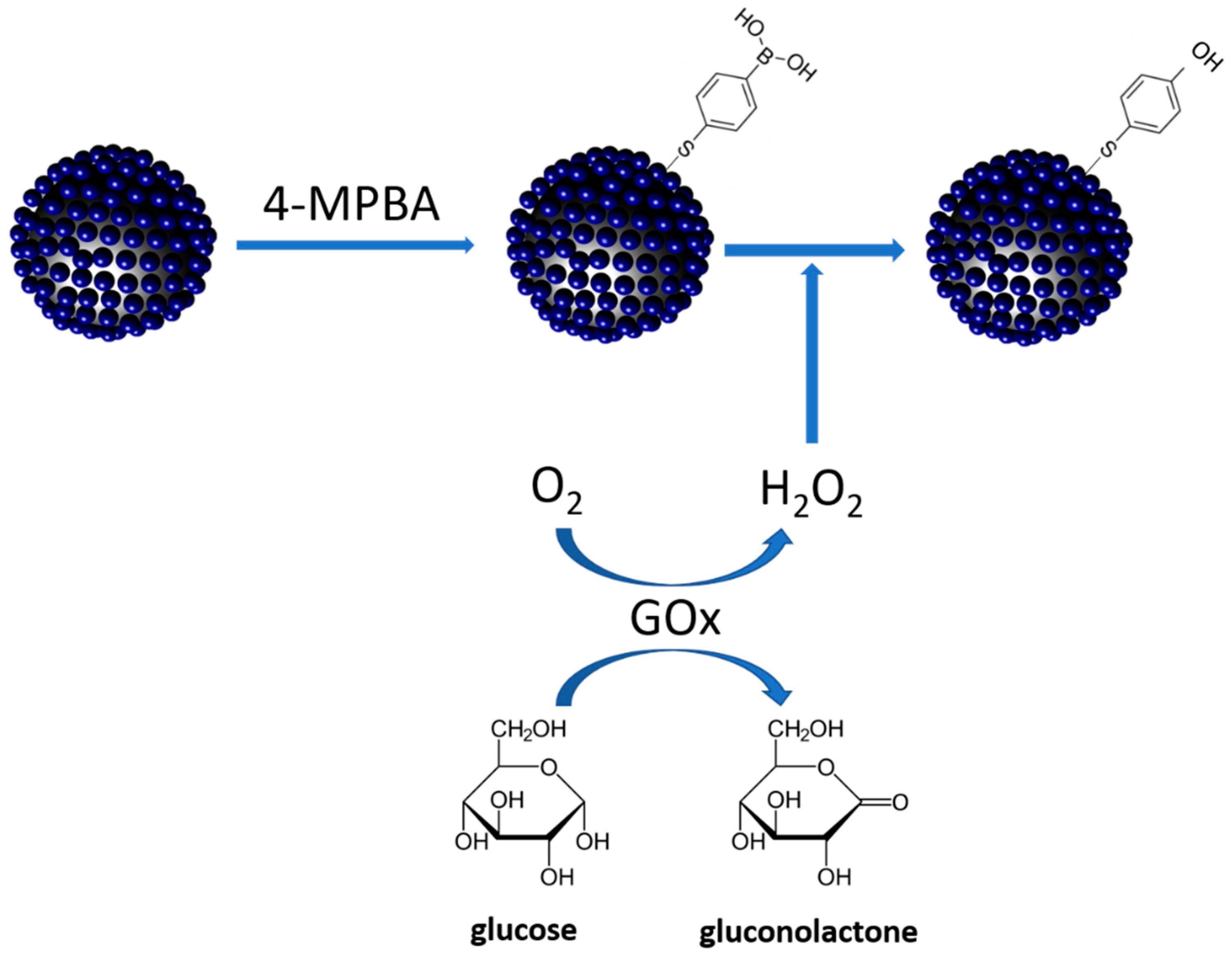 Nanomaterials 11 00948 g001 Nanomaterials 11 00948 g001