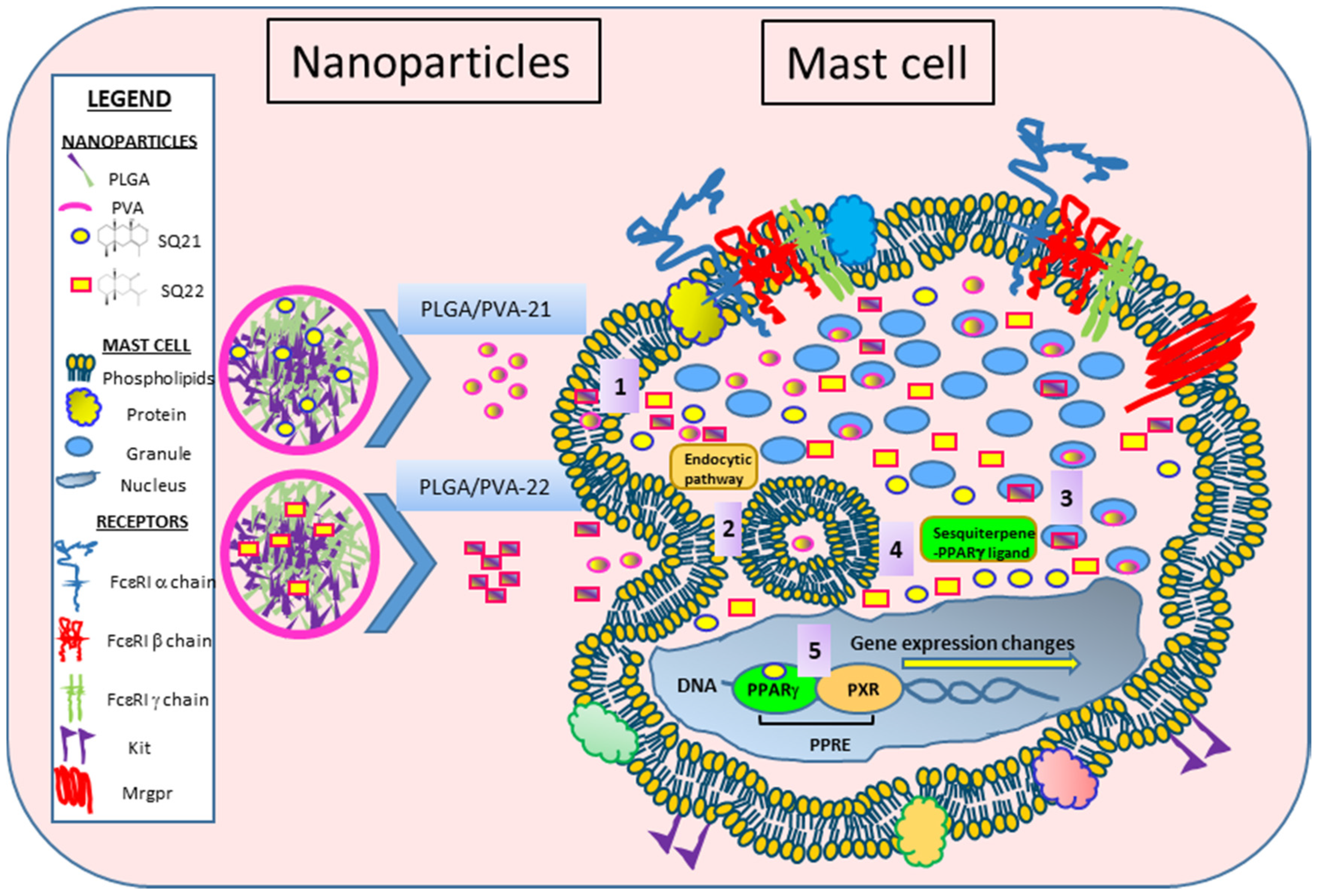 Nanomaterials 11 00953 g007 Nanomaterials 11 00953 g007