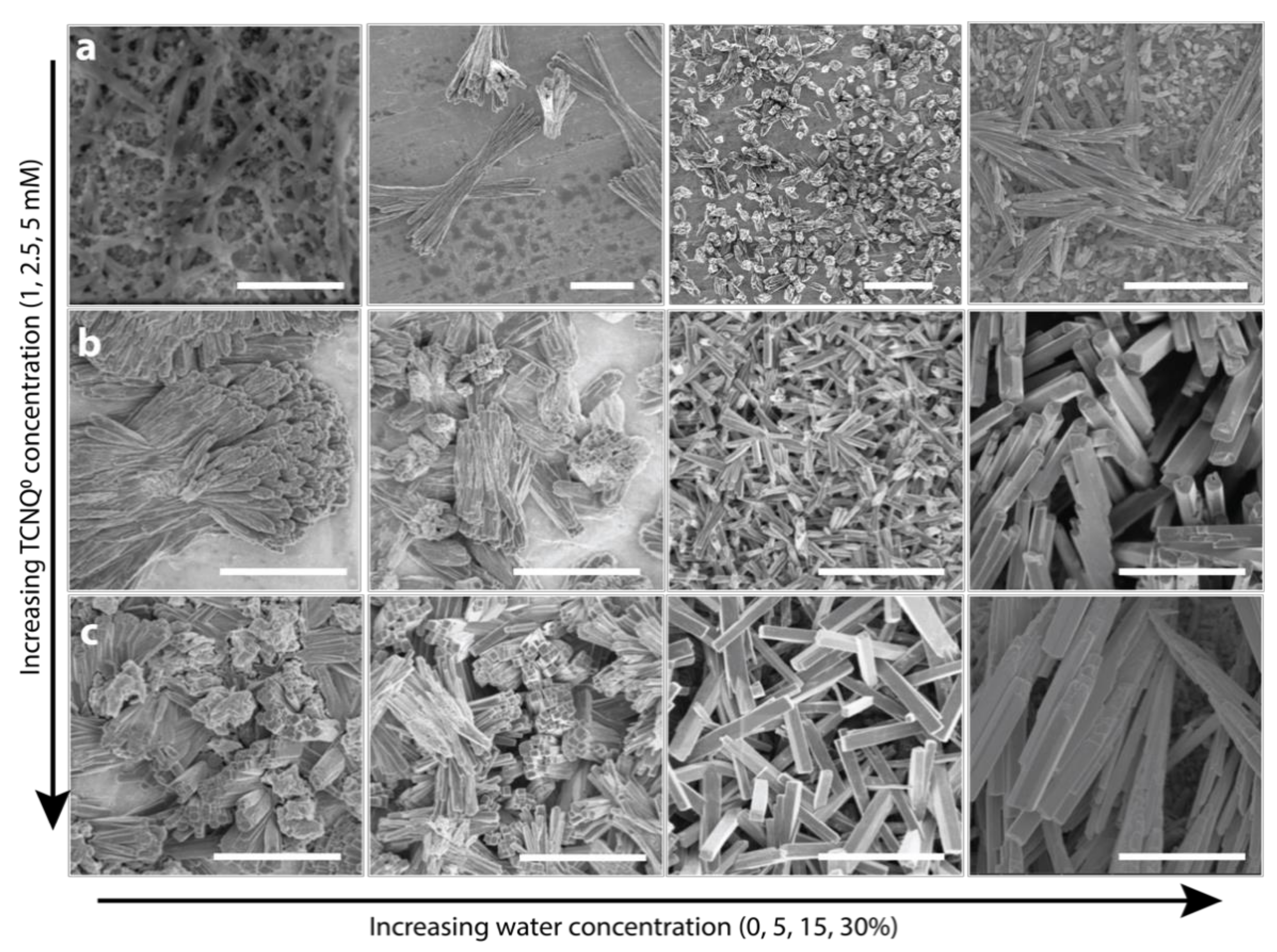 Nanomaterials 11 00954 g002 Nanomaterials 11 00954 g002