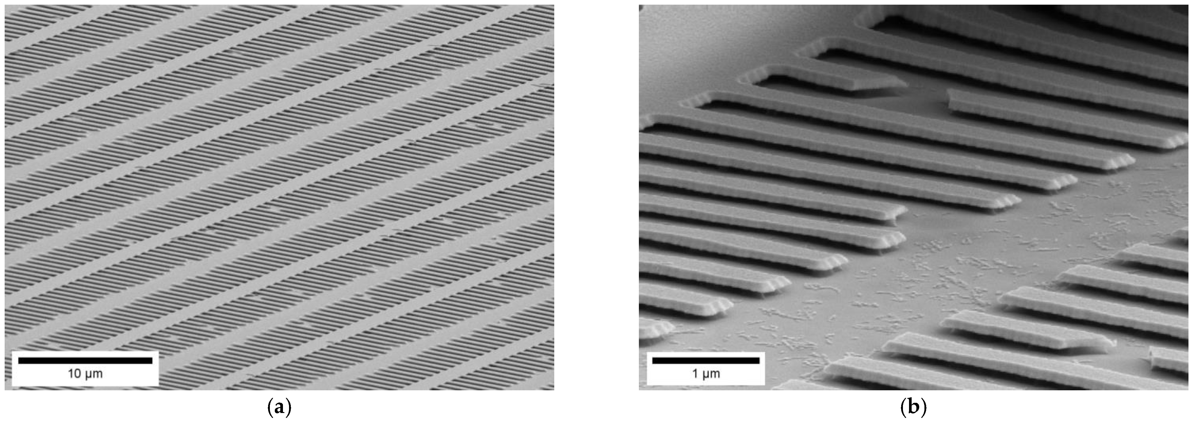 Nanomaterials 11 00956 g002