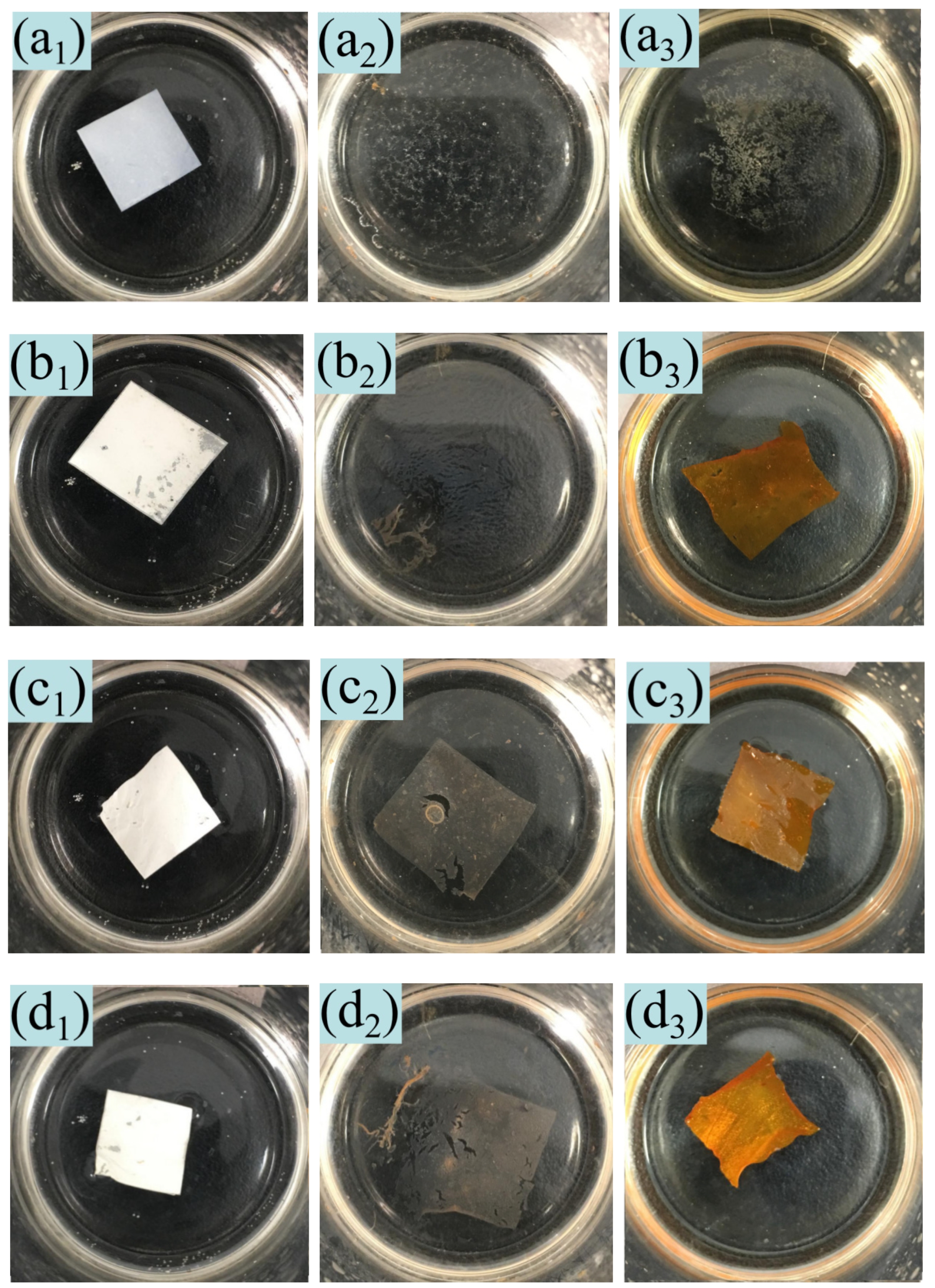Nanomaterials 11 00957 g005a Nanomaterials 11 00957 g005a