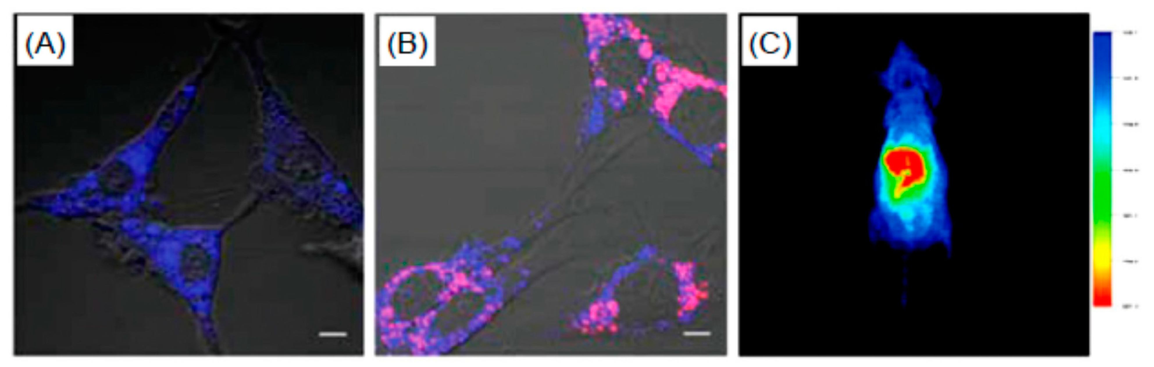 Nanomaterials 11 00967 g017 Nanomaterials 11 00967 g017