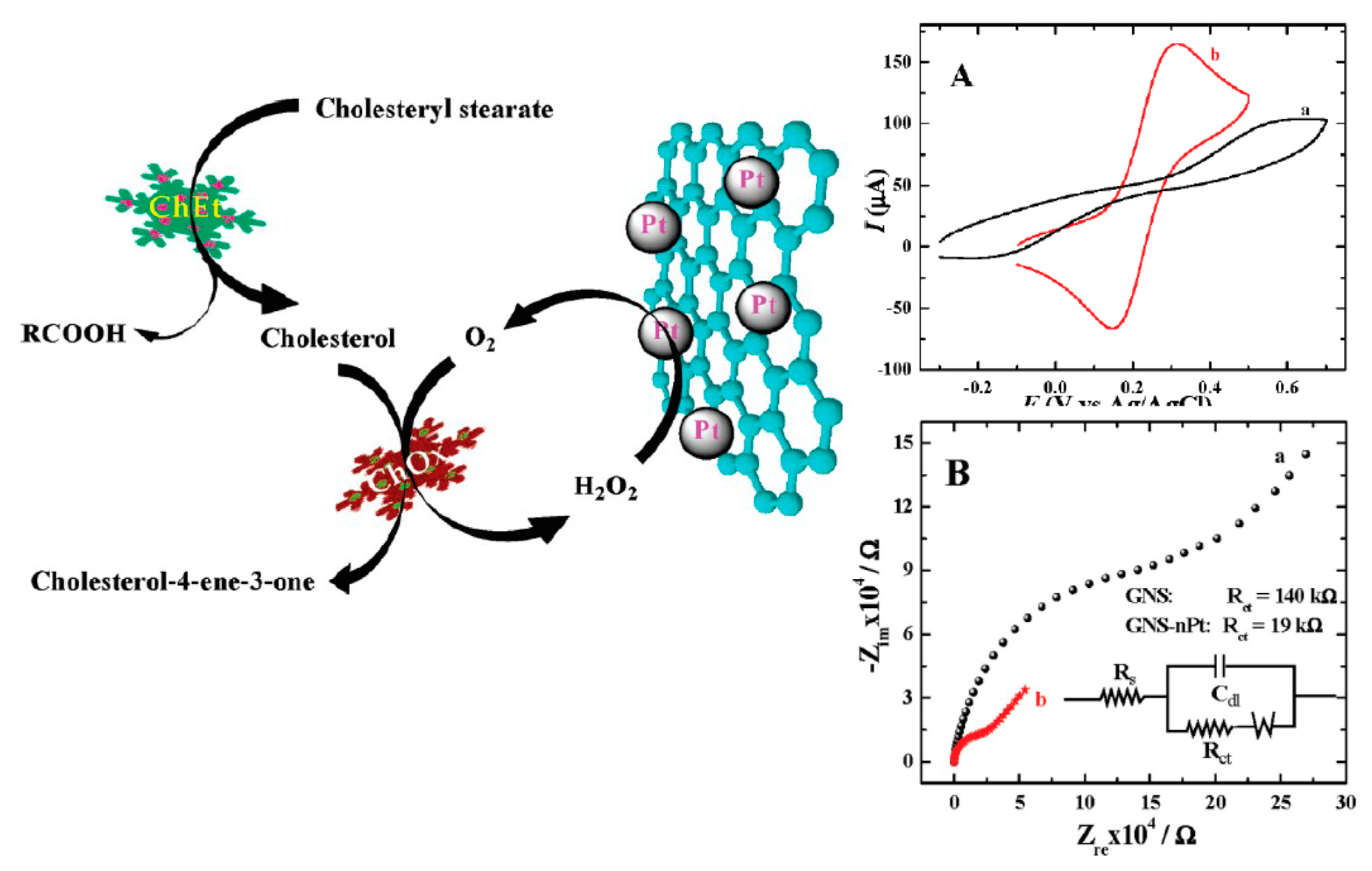 Nanomaterials Free Full Text Carbon Nanomaterials Synthesis Functionalization And Sensing Applications Html Nanomaterials Free Full Text Carbon Nanomaterials Synthesis Functionalization And Sensing Applications Html