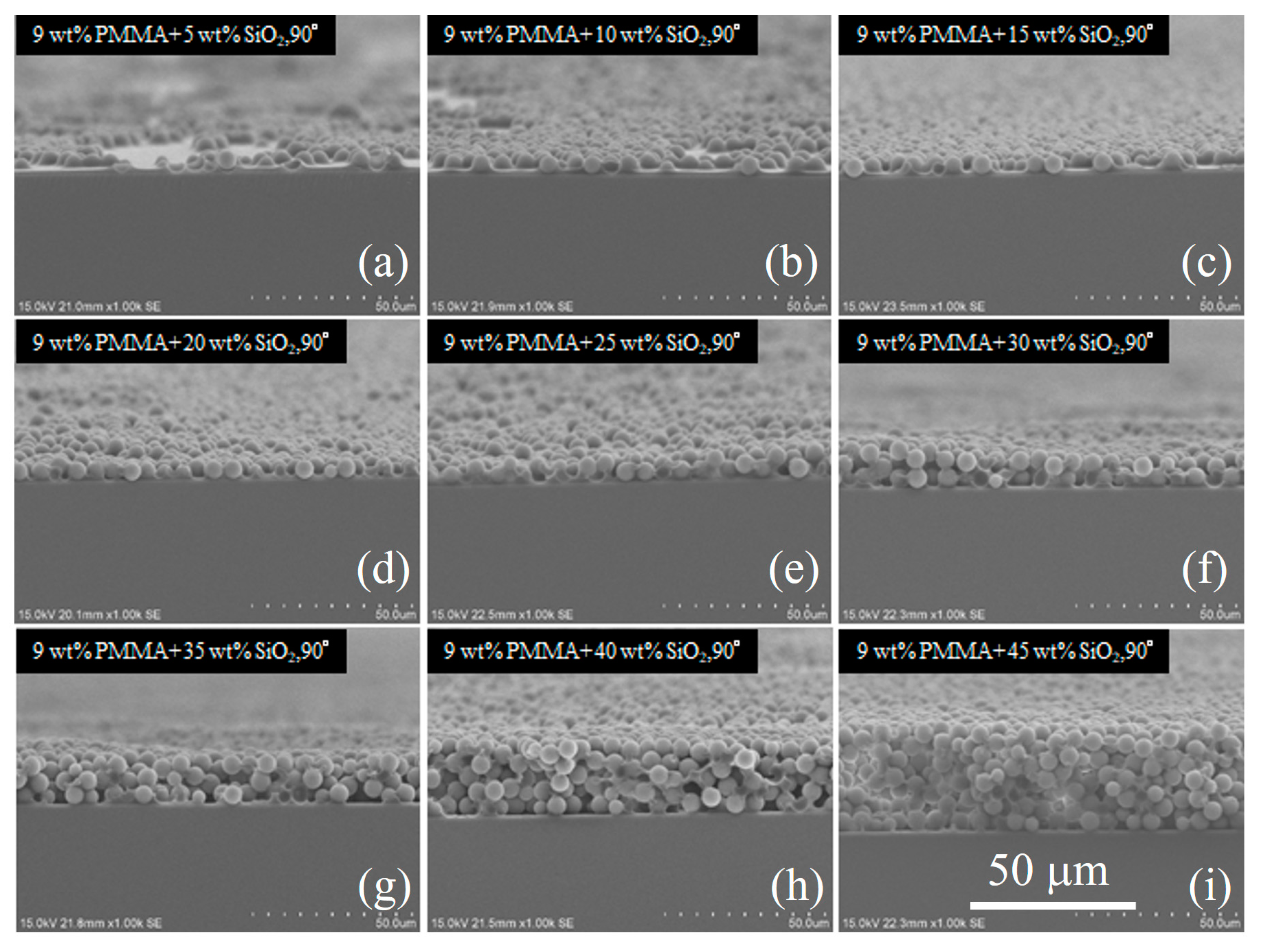 Nanomaterials 11 00983 g002