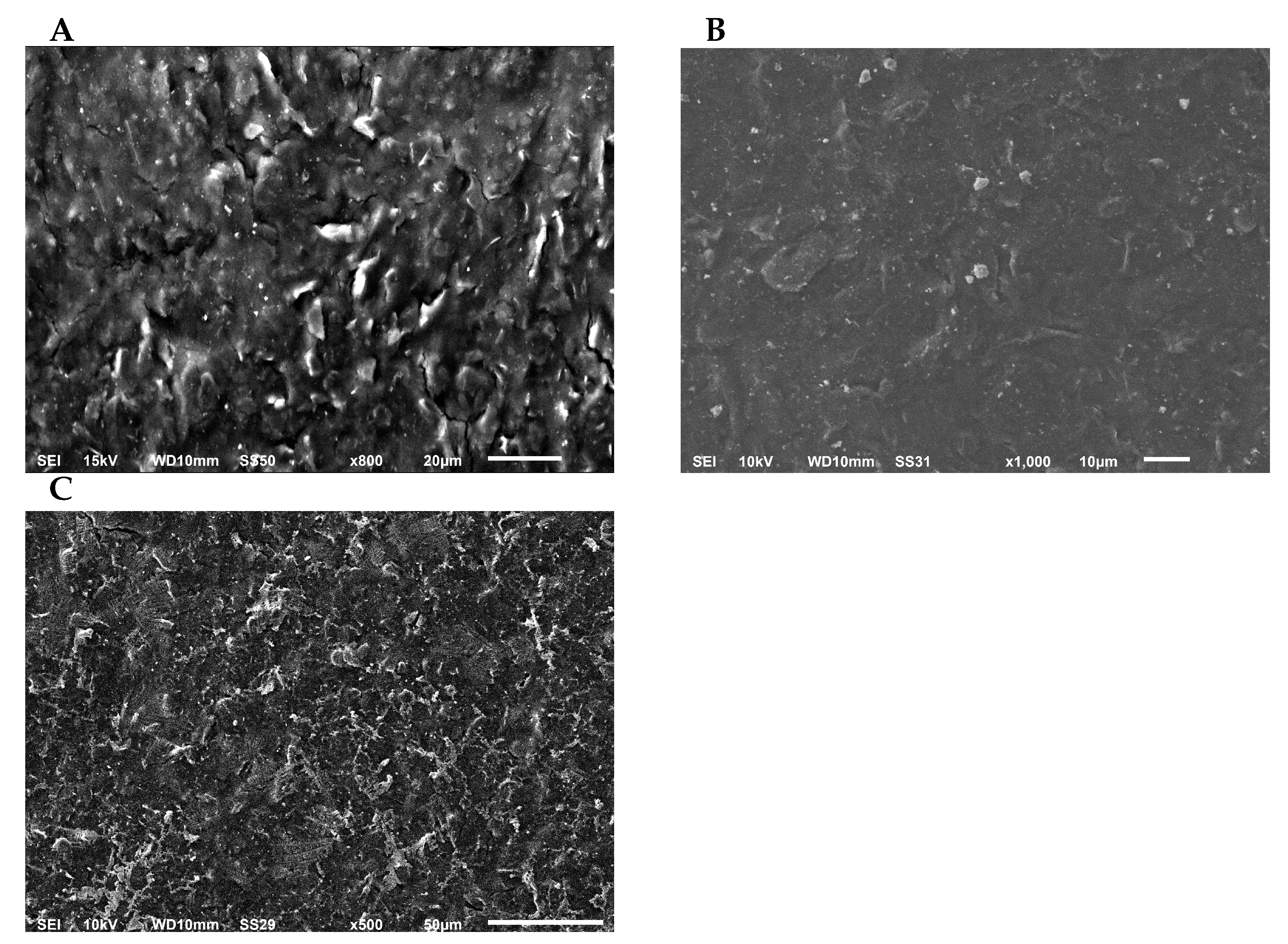 Nanomaterials 11 00985 g0a1 Nanomaterials 11 00985 g0a1