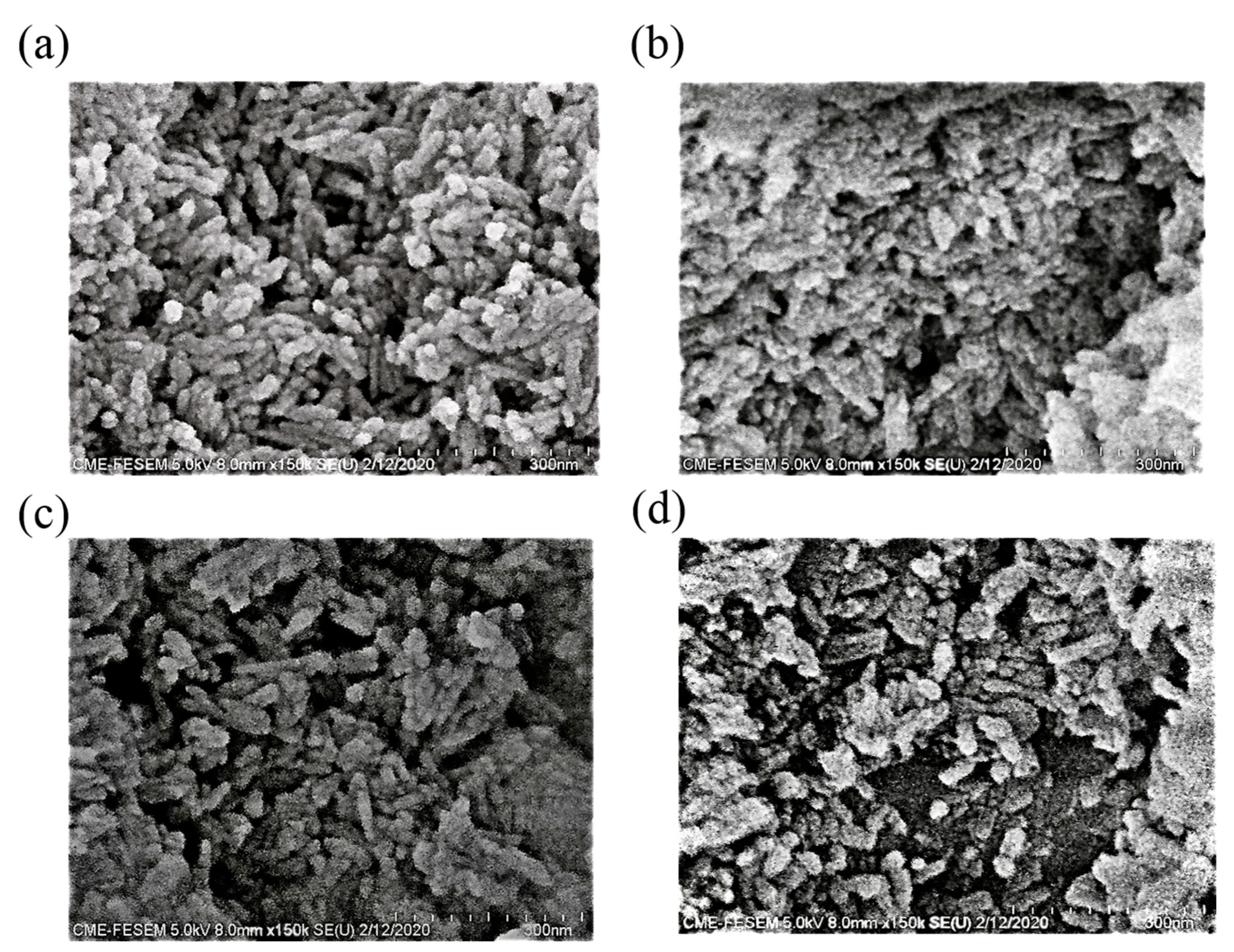 Nanomaterials 11 00986 g002 Nanomaterials 11 00986 g002