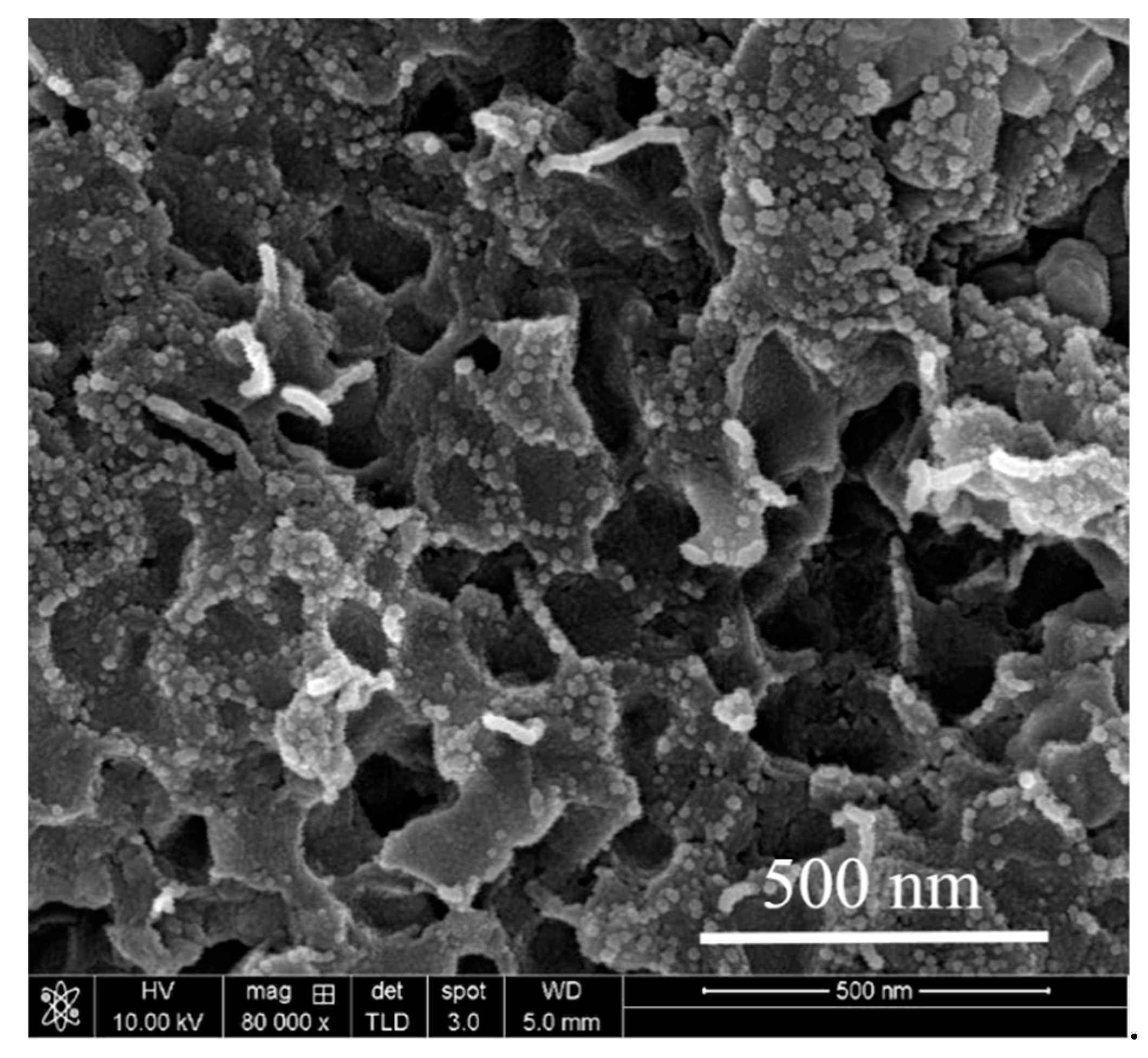 Nanomaterials 11 00986 g006 Nanomaterials 11 00986 g006