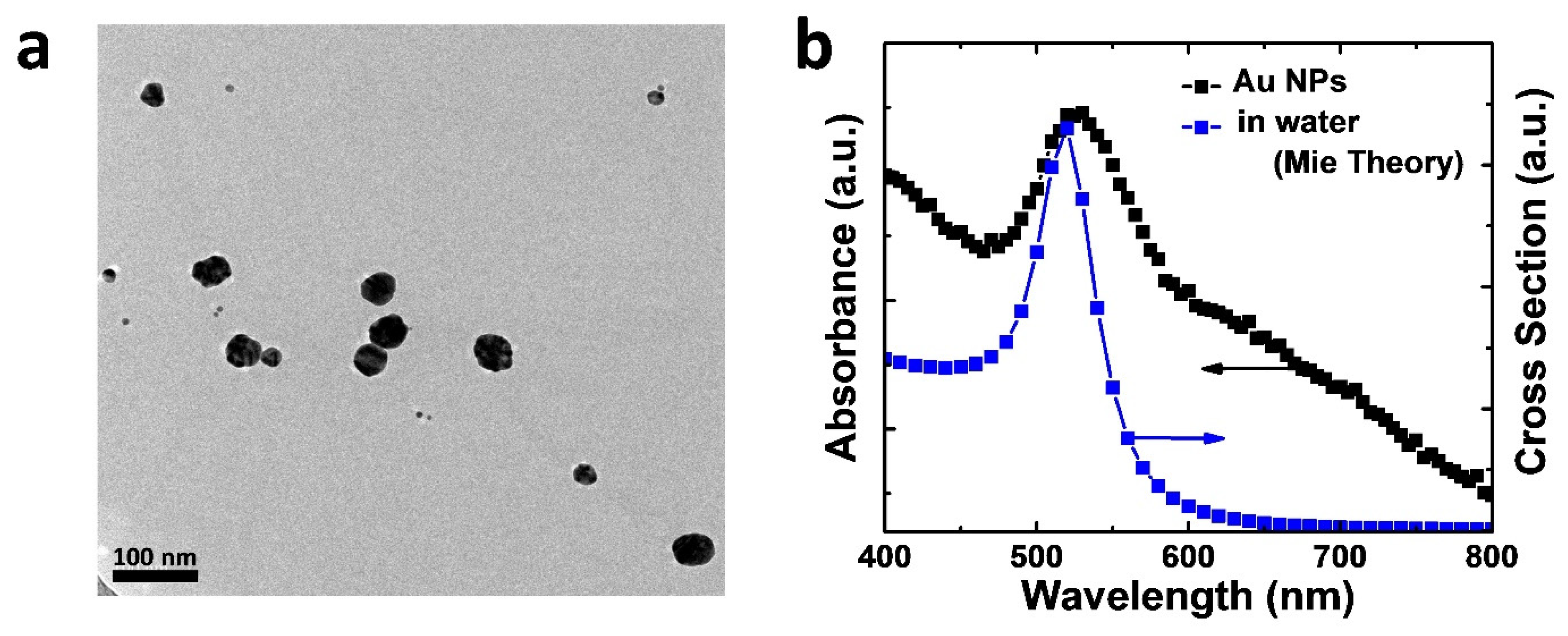 Nanomaterials 11 00993 g002 Nanomaterials 11 00993 g002