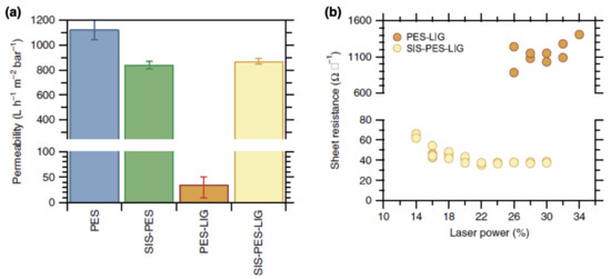 Recent Advances in Sequential Infiltration Synthesis (SIS) of