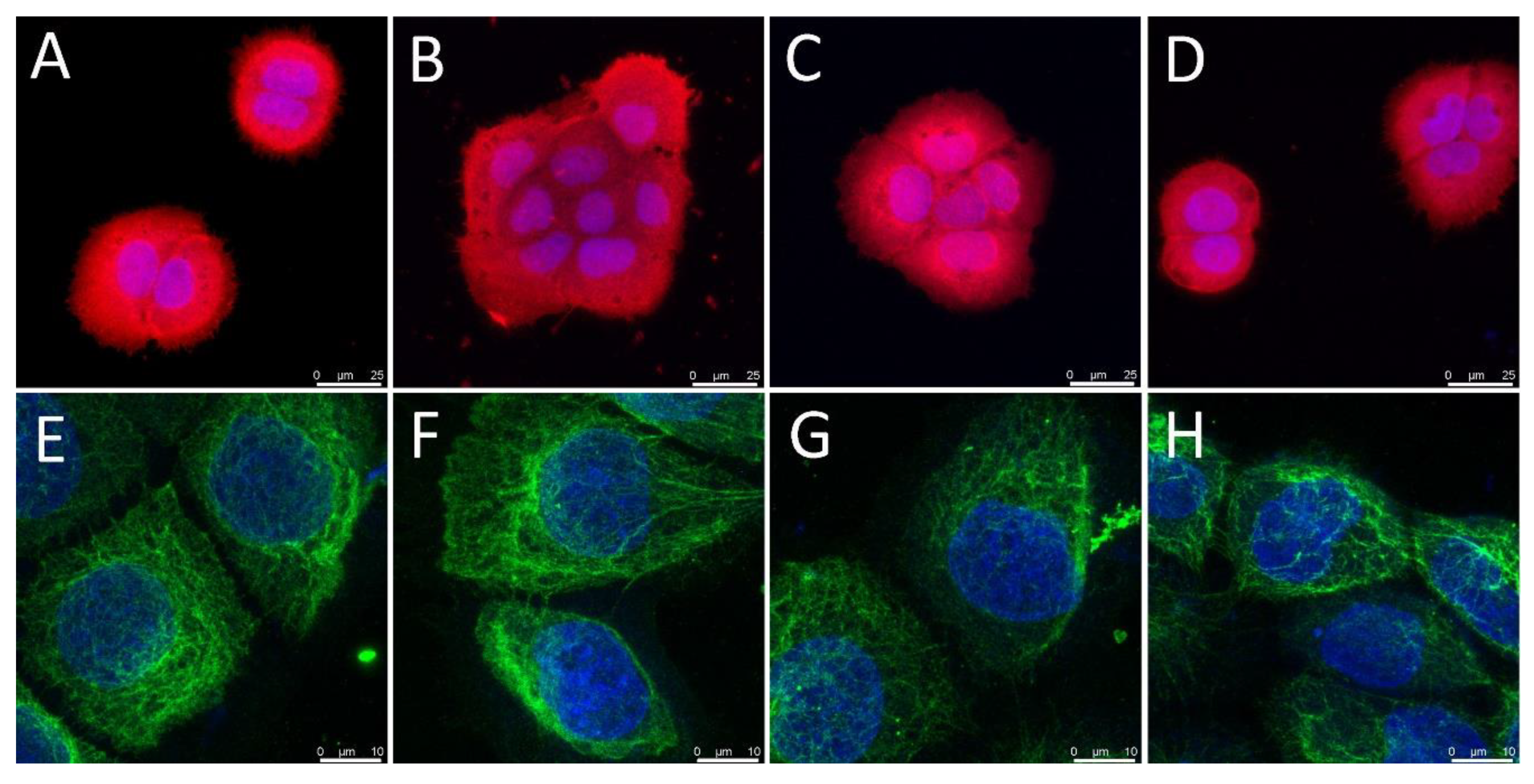 Nanomaterials 11 00995 g005 Nanomaterials 11 00995 g005
