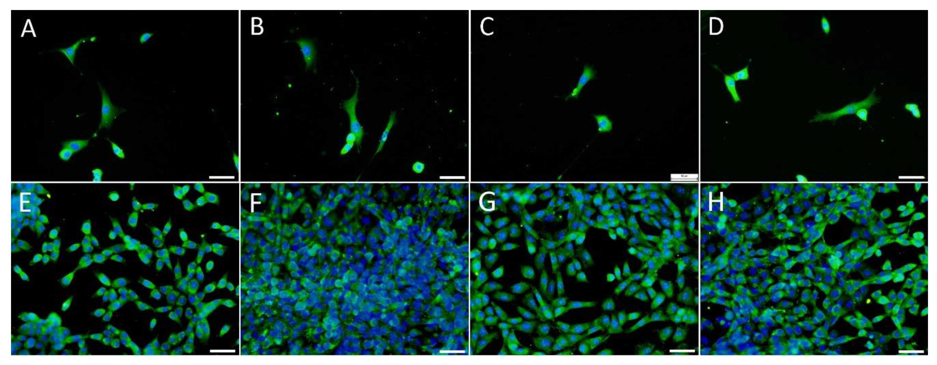 Nanomaterials 11 00995 g011 Nanomaterials 11 00995 g011