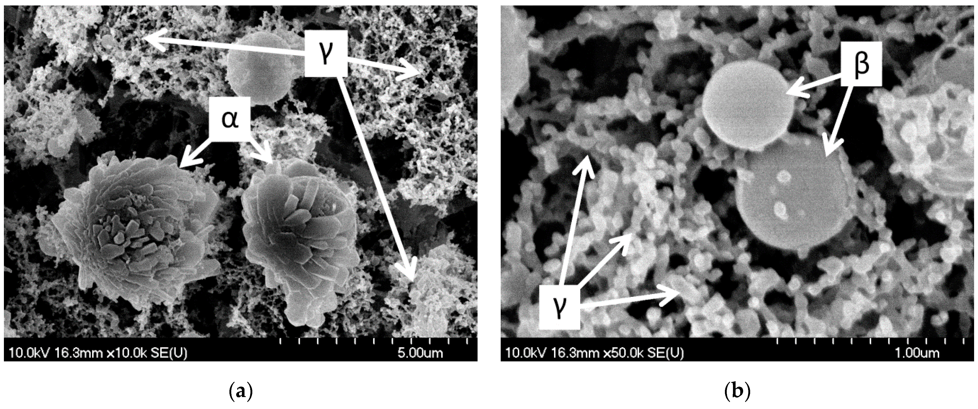 Nanomaterials 11 00996 g006