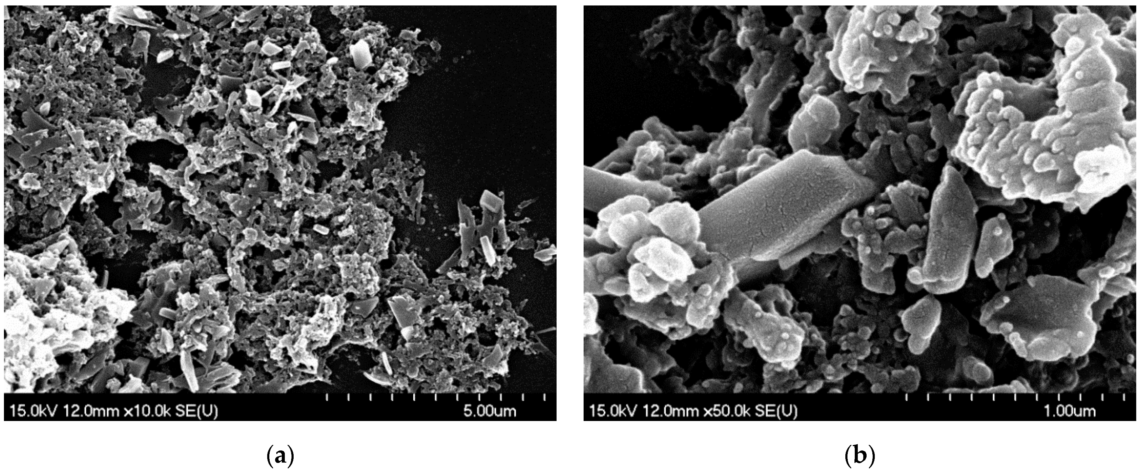 Nanomaterials 11 00996 g007