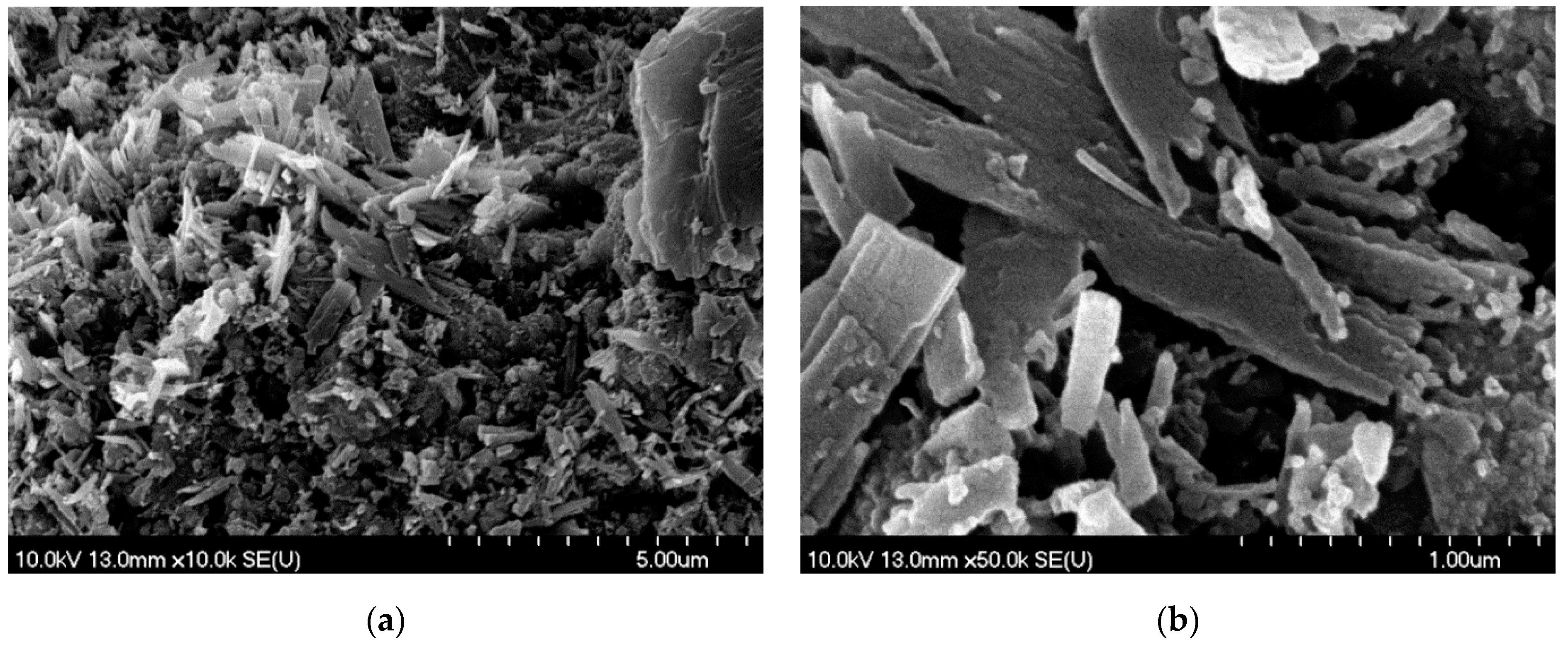 Nanomaterials 11 00996 g009