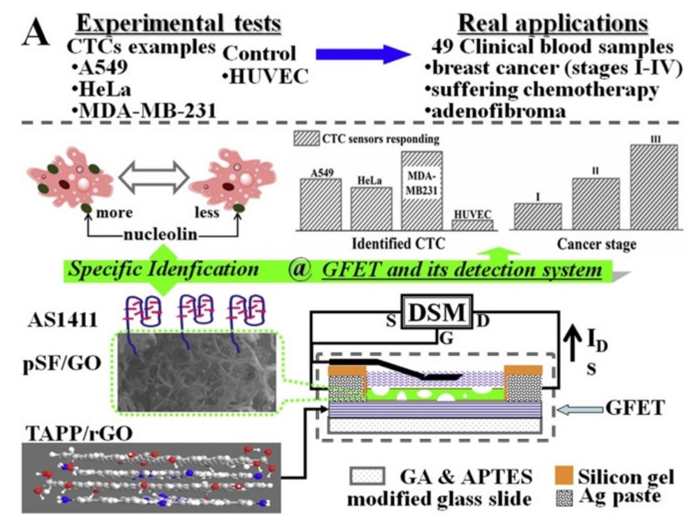 Nanomaterials 11 00997 g006 Nanomaterials 11 00997 g006