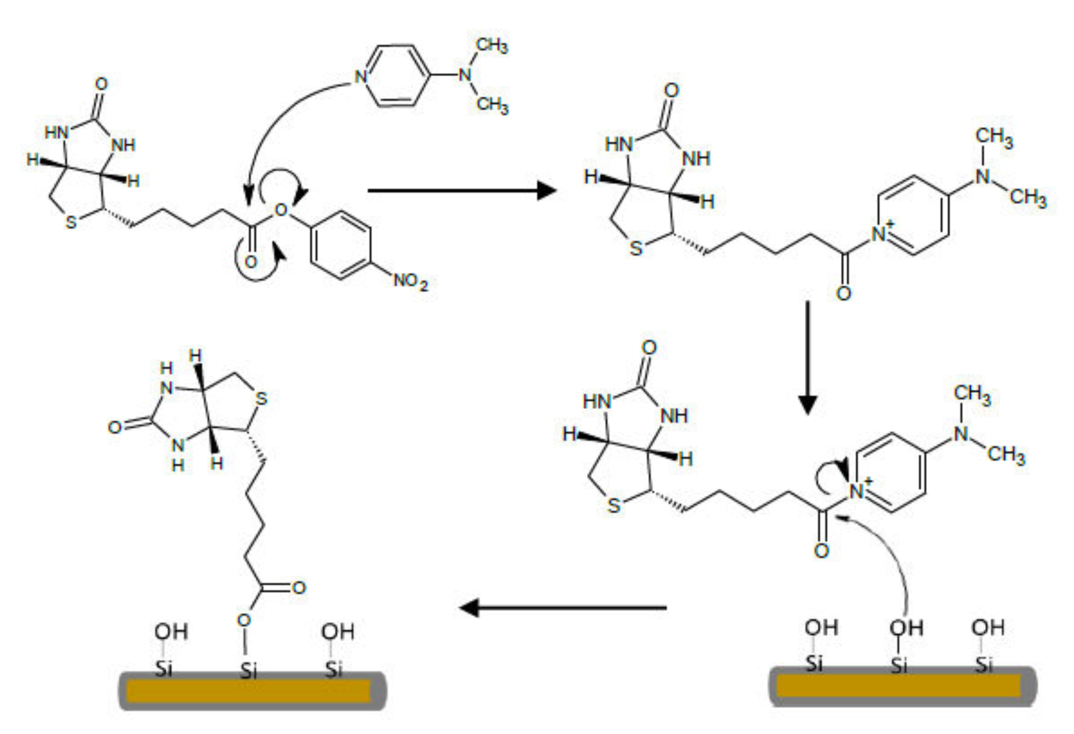 Nanomaterials 11 00999 sch001 Nanomaterials 11 00999 sch001