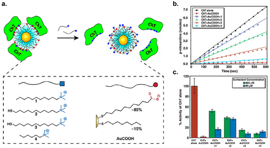 Nanomaterials Free Full Text Engineering The Interface Between Inorganic Nanoparticles And Biological Systems Through Ligand Design Html Nanomaterials Free Full Text Engineering The Interface Between Inorganic Nanoparticles And Biological Systems Through Ligand Design Html