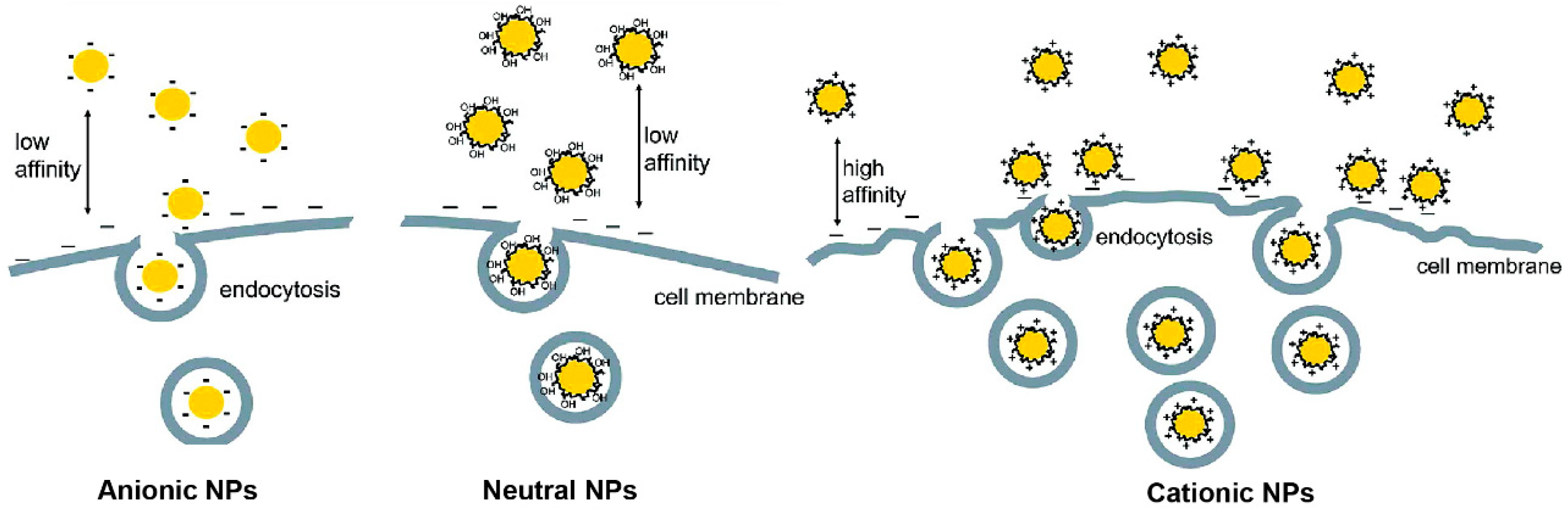 Nanomaterials 11 01001 g004 Nanomaterials 11 01001 g004