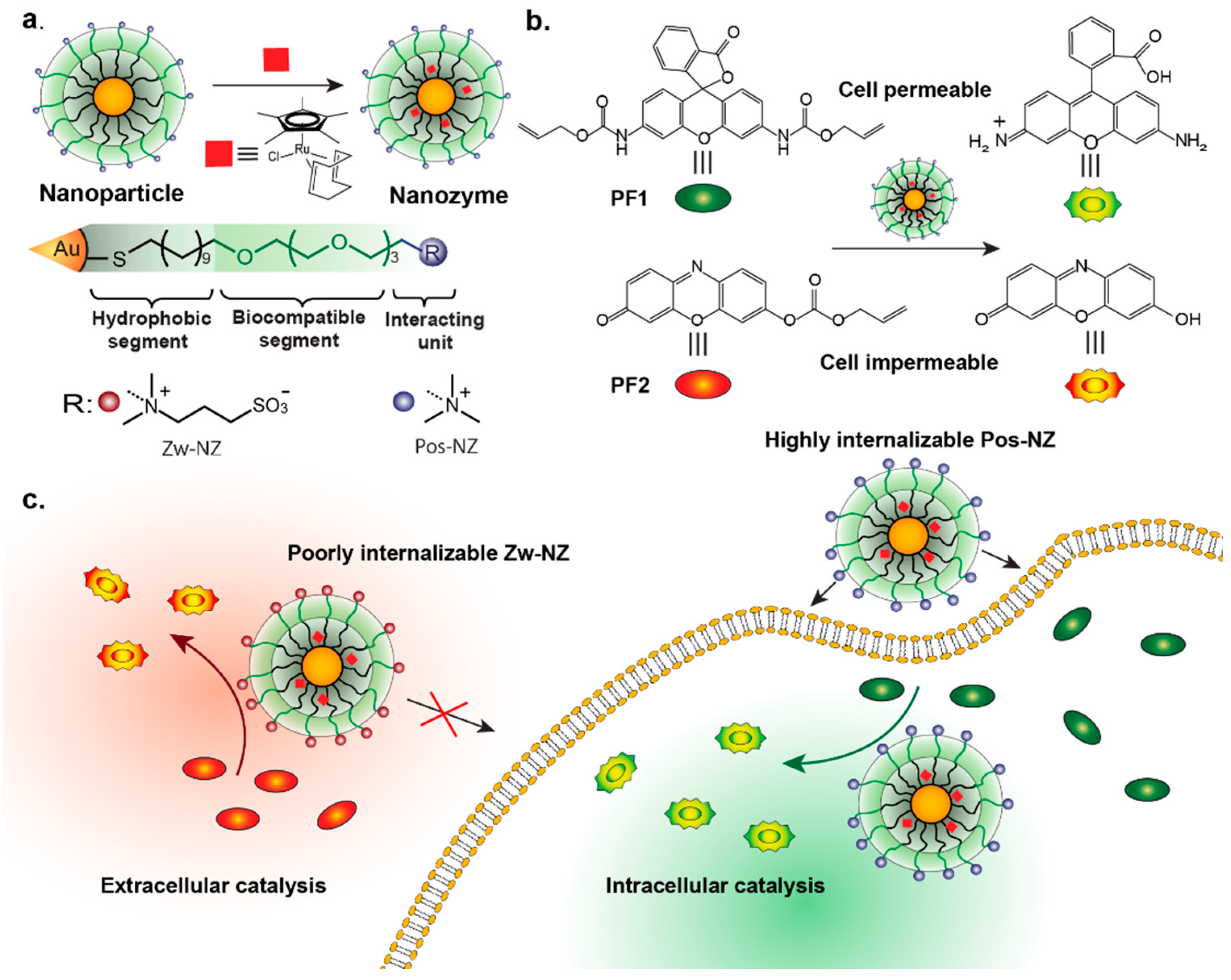Nanomaterials 11 01001 g005 Nanomaterials 11 01001 g005